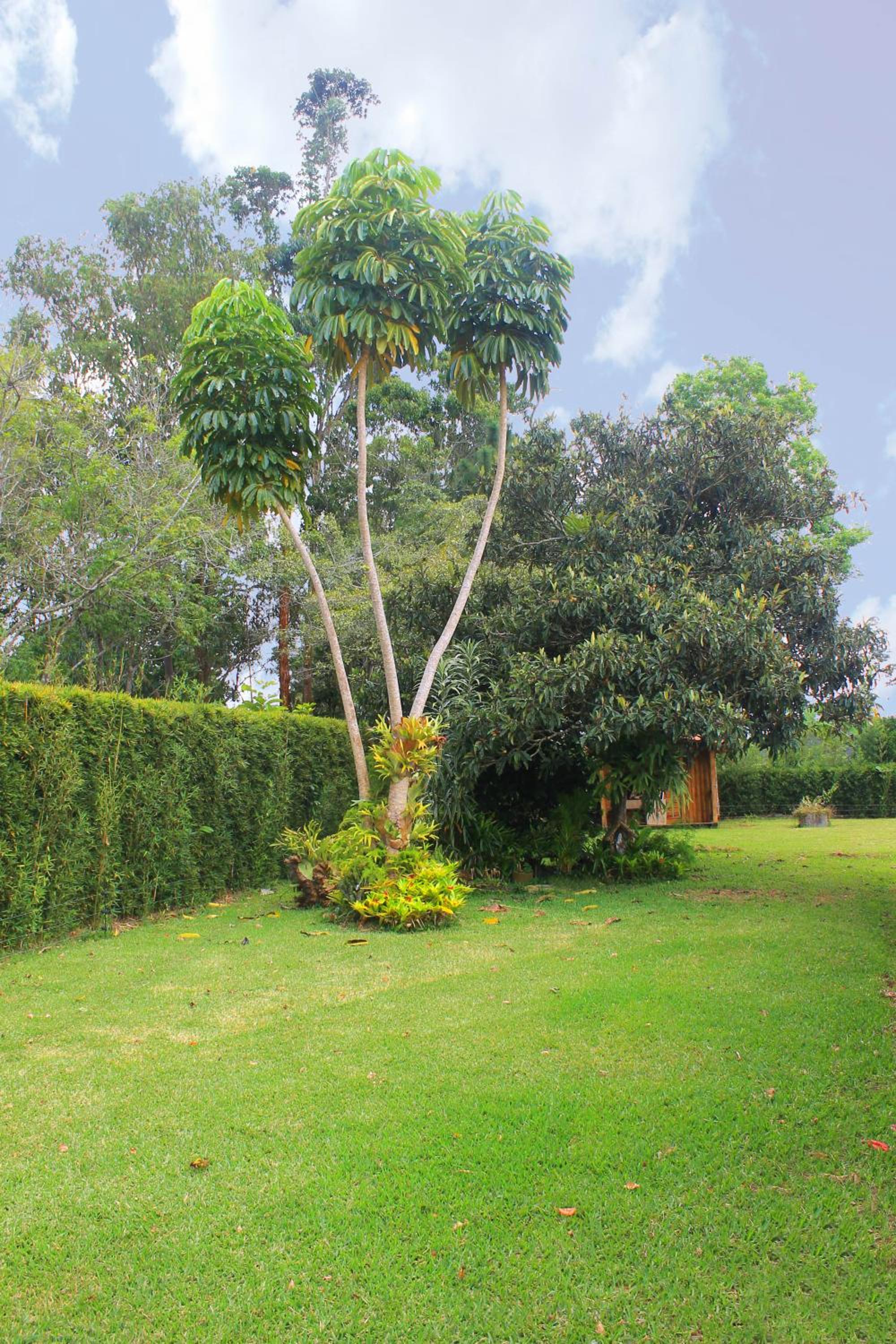 Posada Oye Bonita, Mesa de los Santos, Santander, Colombia