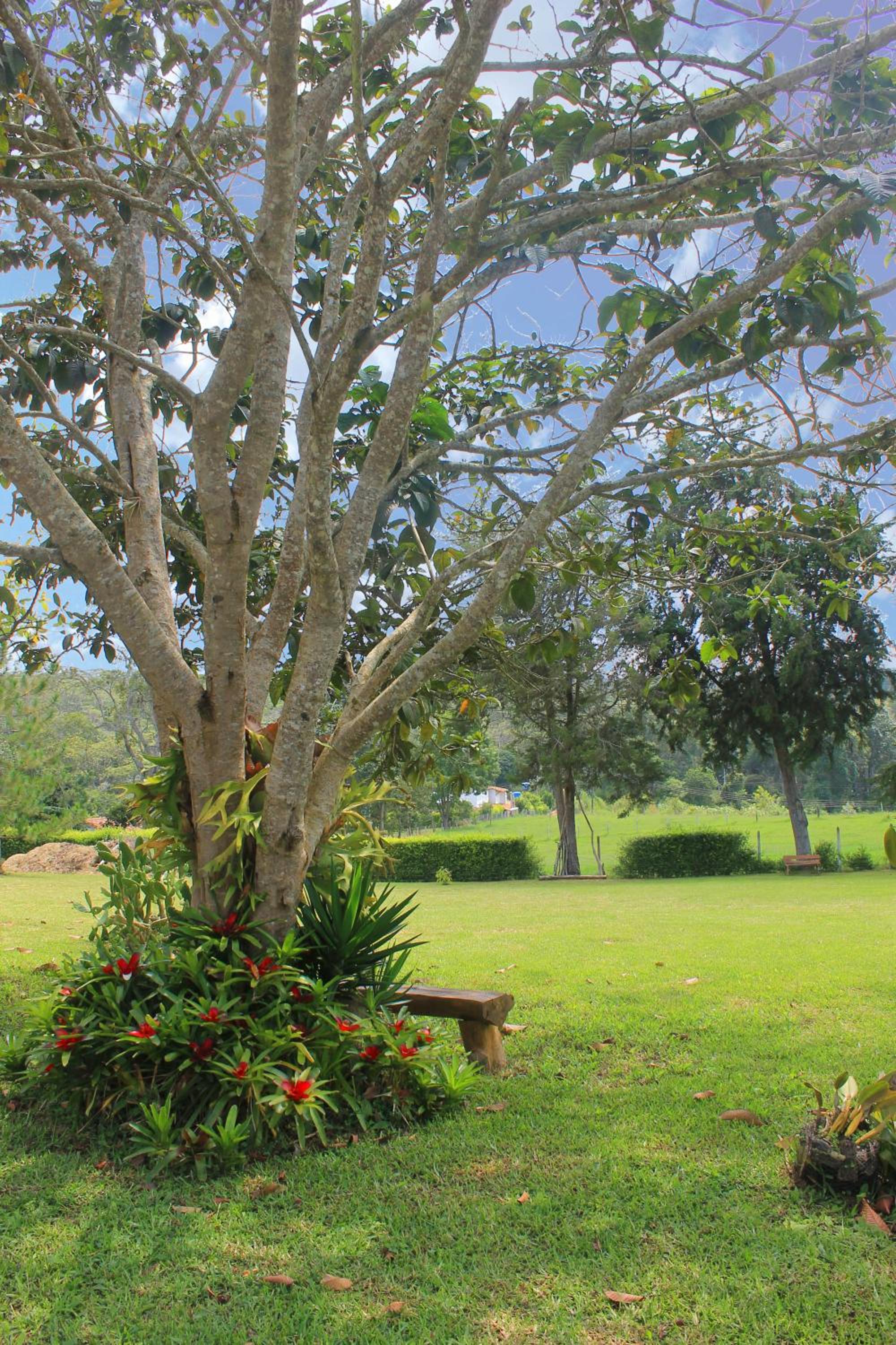 Posada Oye Bonita, Mesa de los Santos, Santander, Colombia