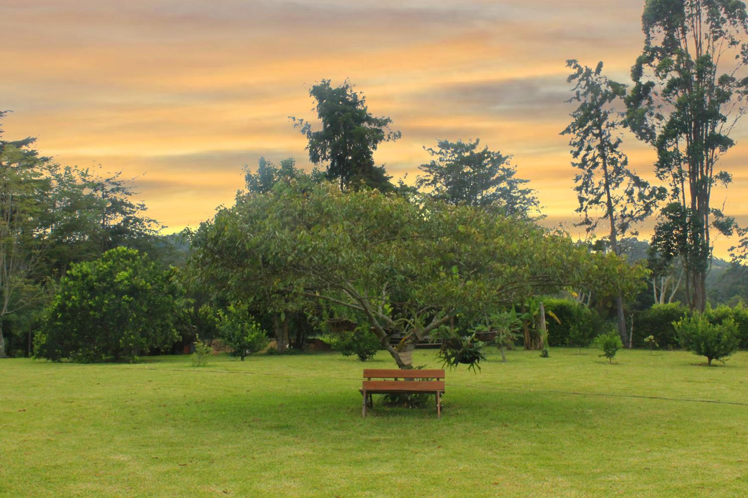 Posada Oye Bonita, Mesa de los Santos, Santander, Colombia