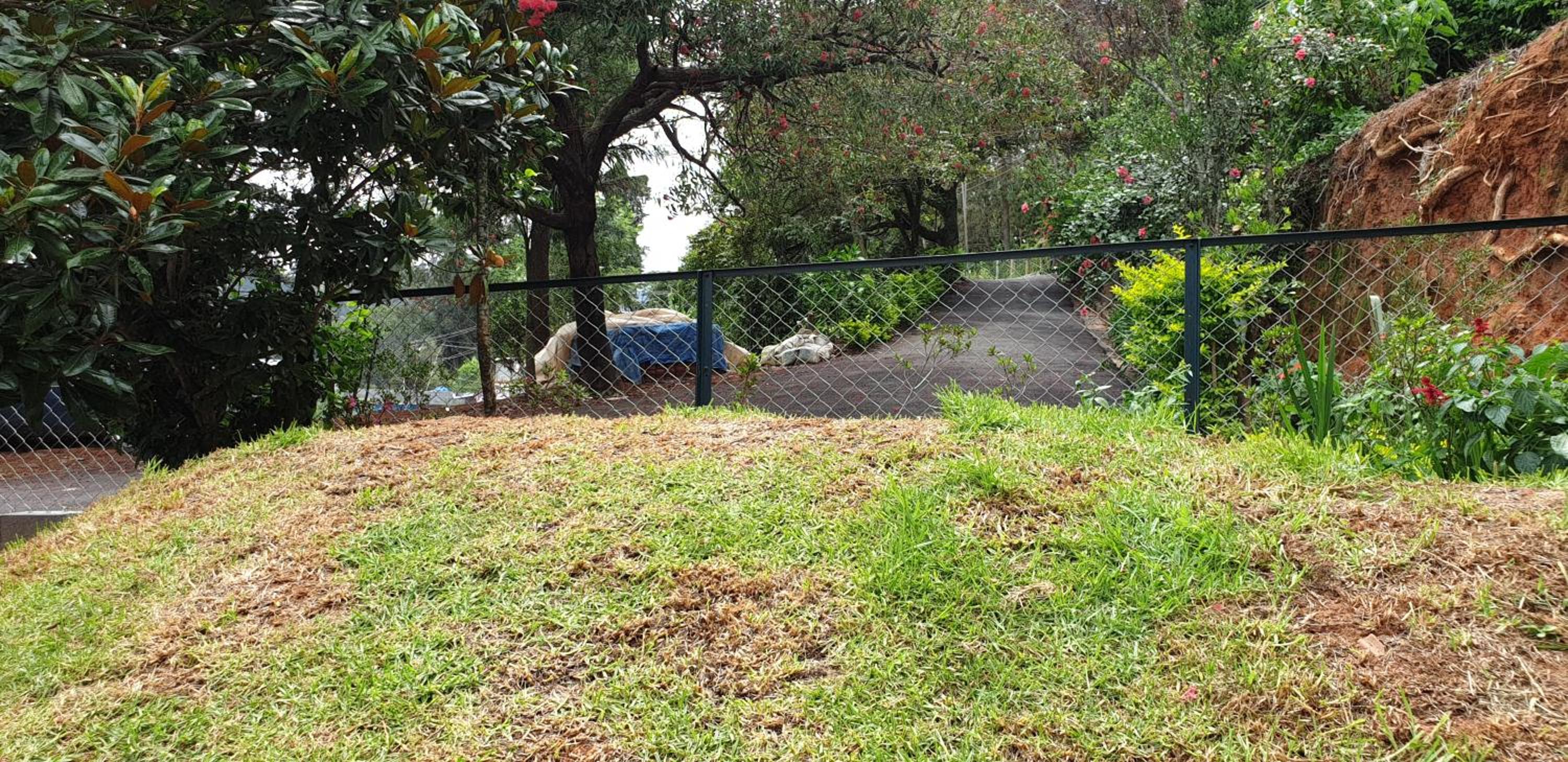 Photo 35