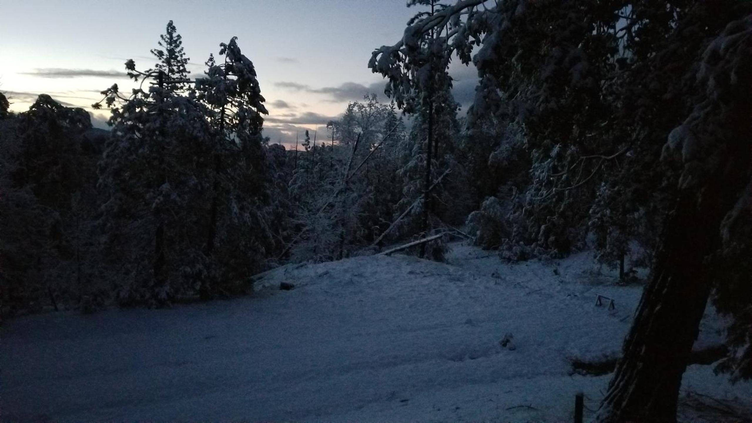 Starlink Mariposa Yosemite mountain retreat view 3