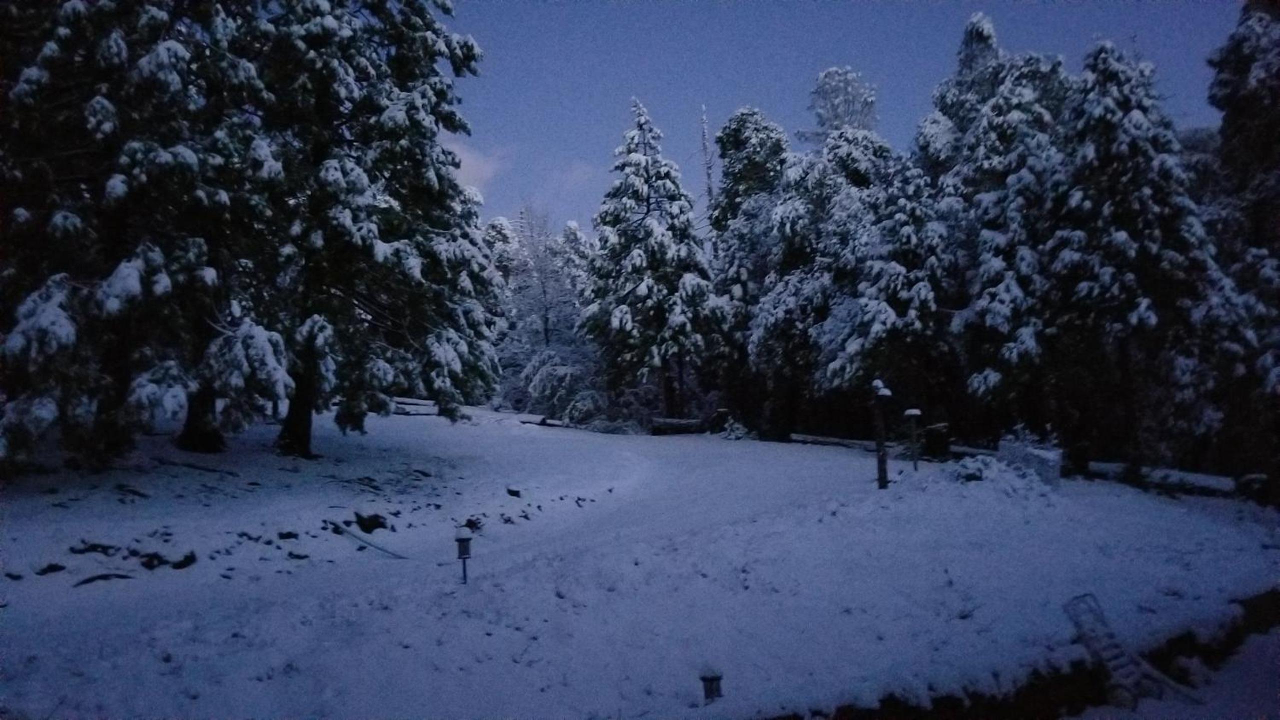 Starlink Mariposa Yosemite mountain retreat view 2