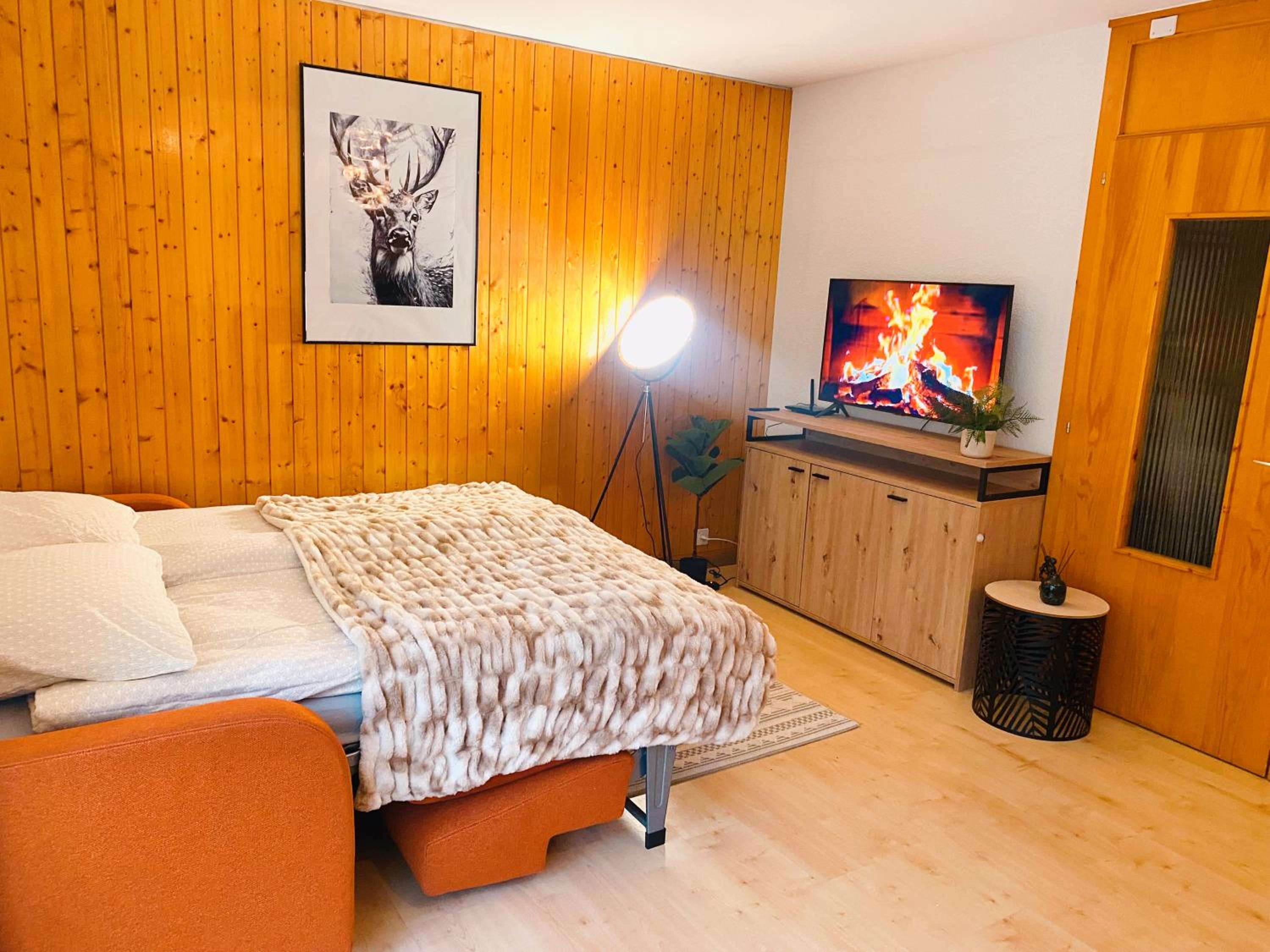 Studio lumineux I Balcon I Ski & Parking