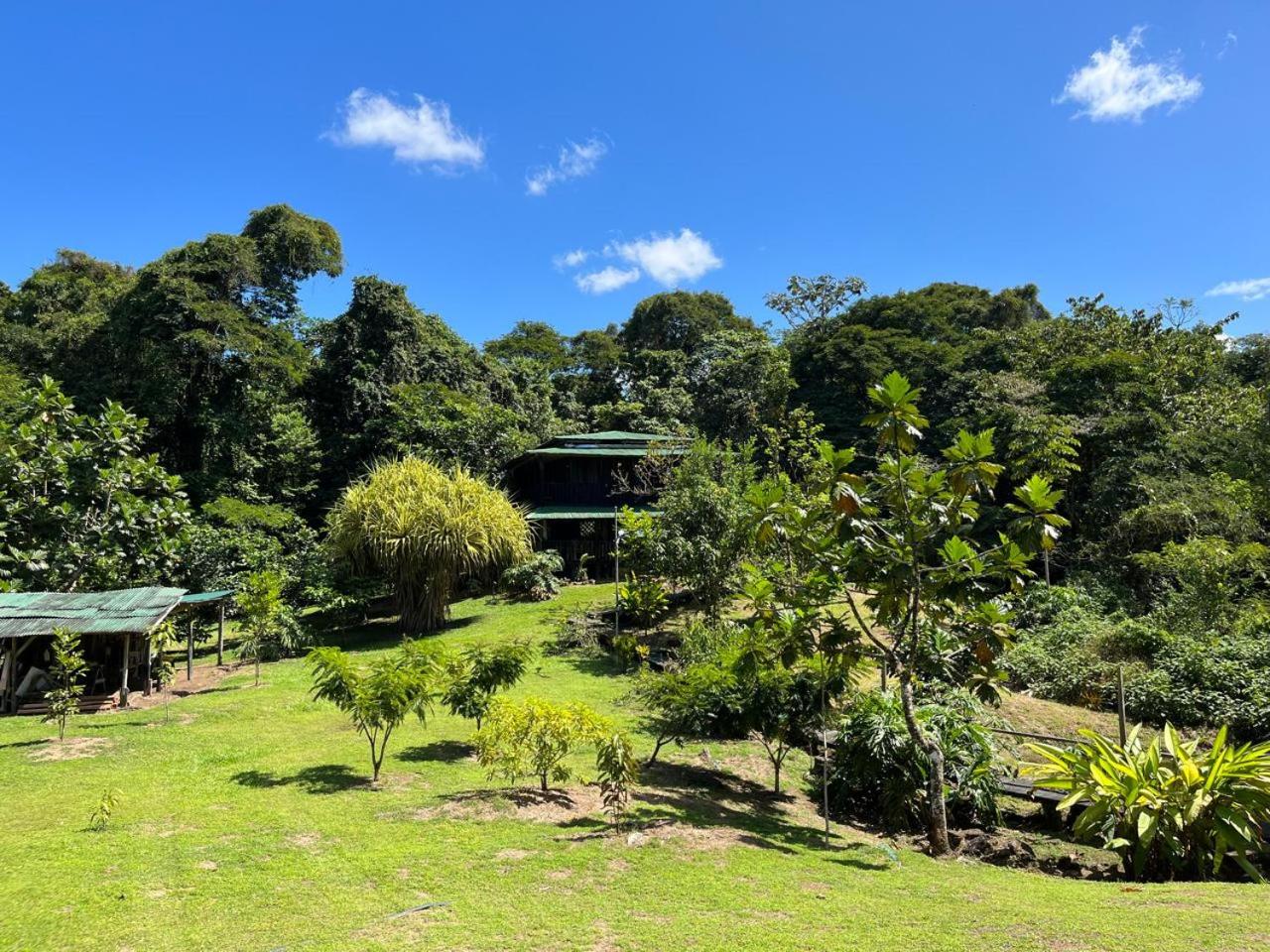La Cueva del Sapo Experience a genuine countryside farm wooden house