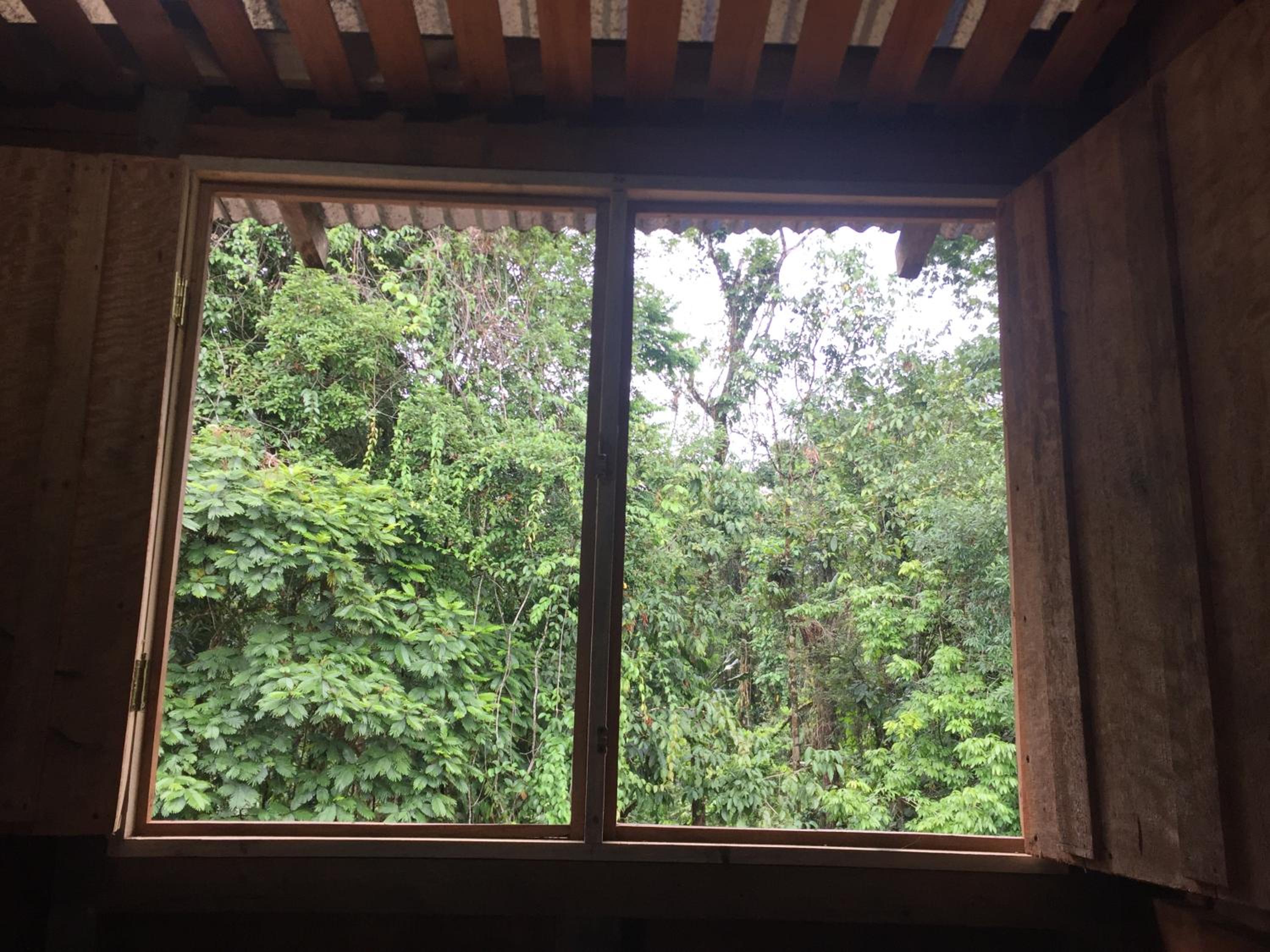 La Cueva del Sapo Experience a genuine countryside farm wooden house