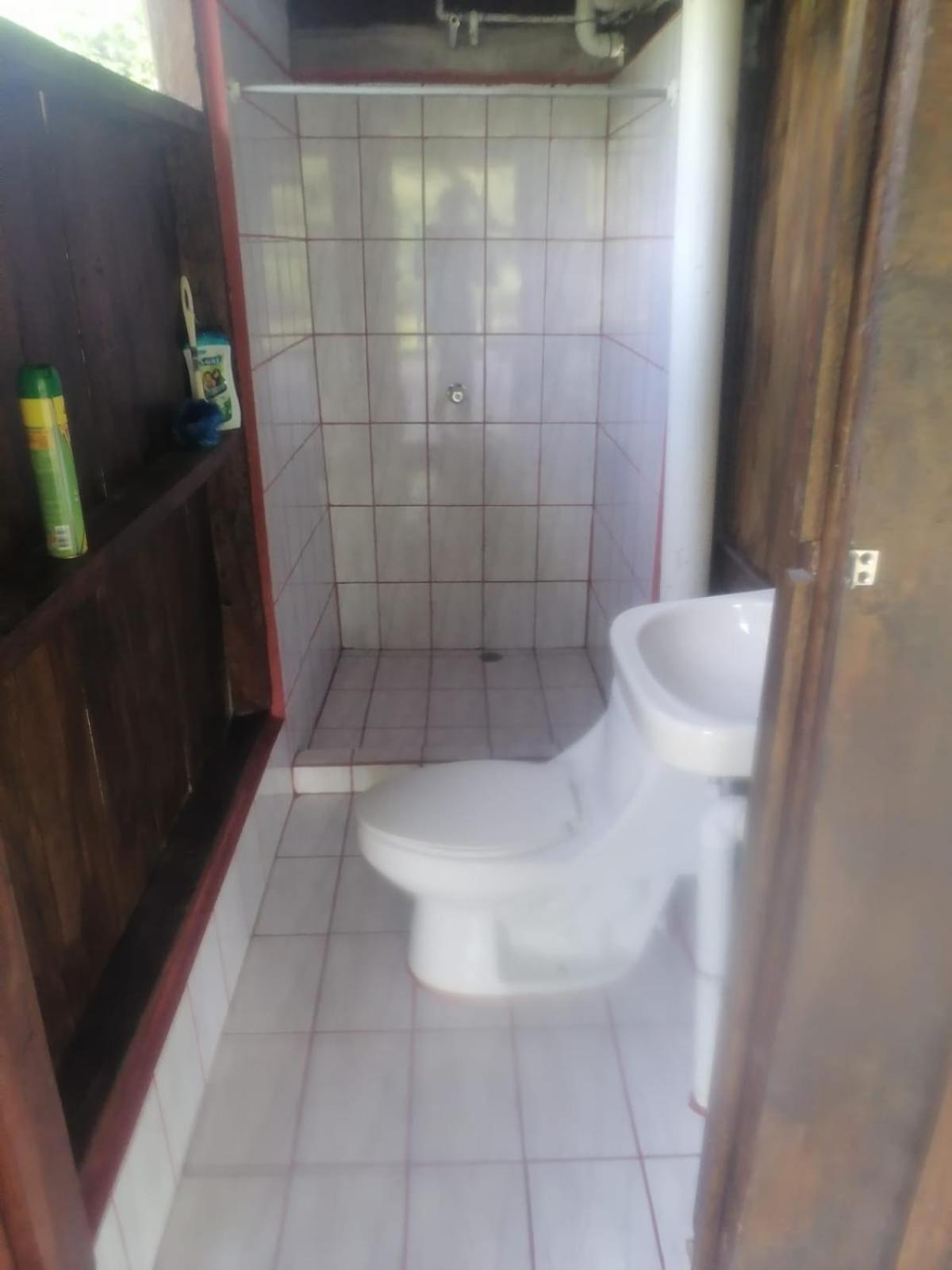 La Cueva del Sapo Experience a genuine countryside farm wooden house
