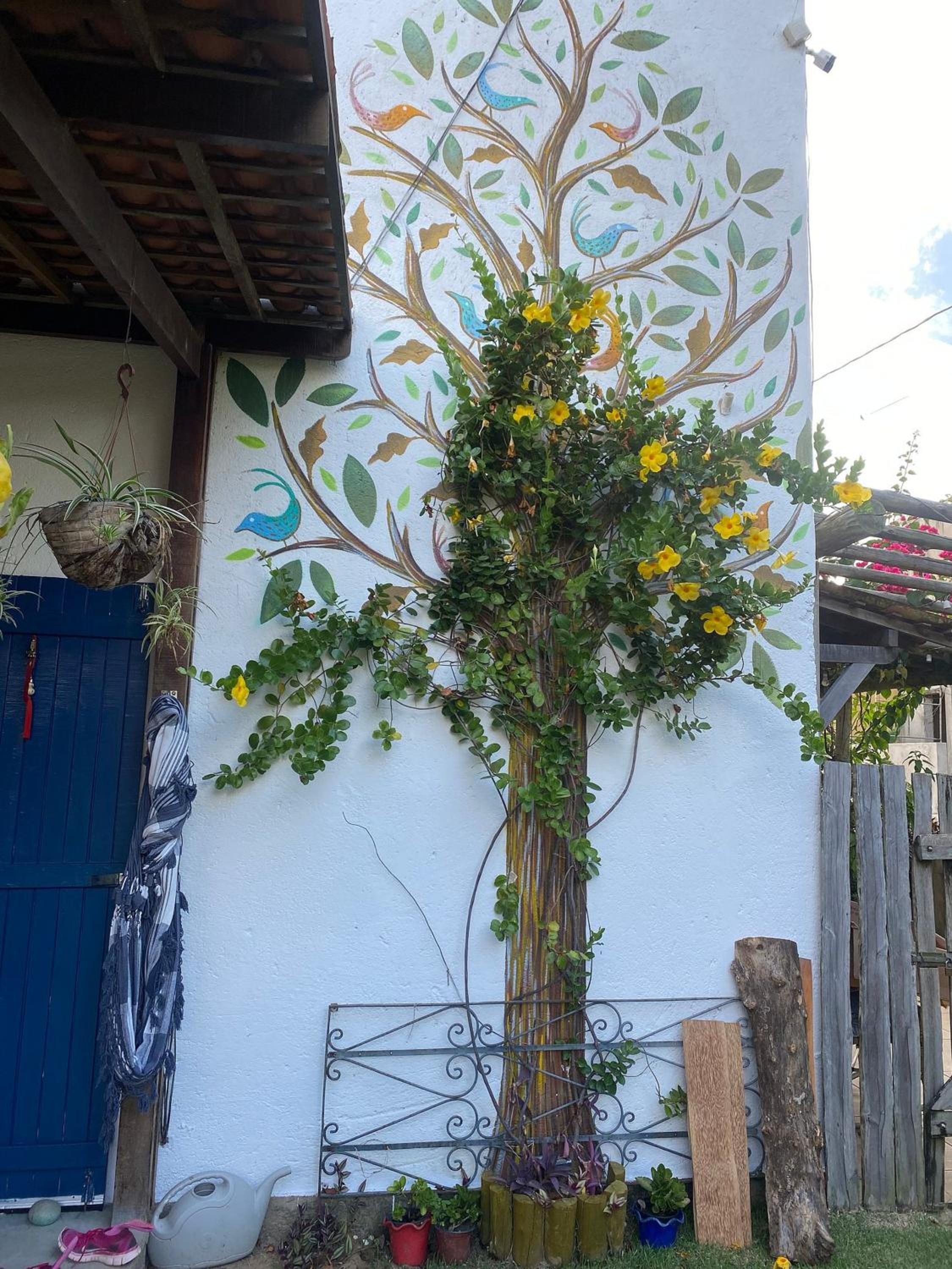 Casa Alagoana em Porto de Pedras Tatuamunha