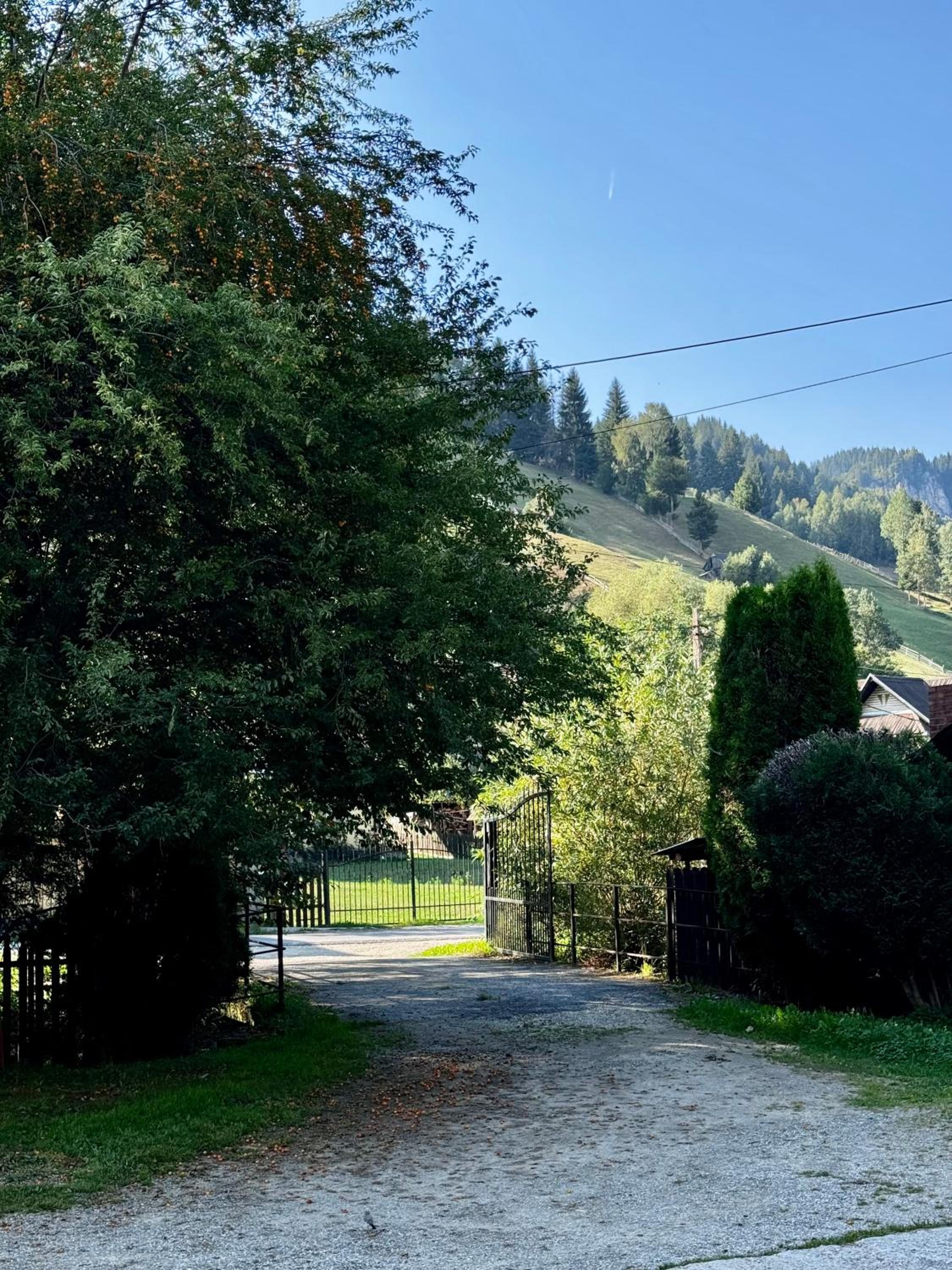 Crăiasa 2 view 4
