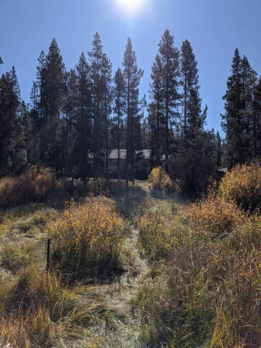 Wild Woods - Cascades Riverside Retreat view 4