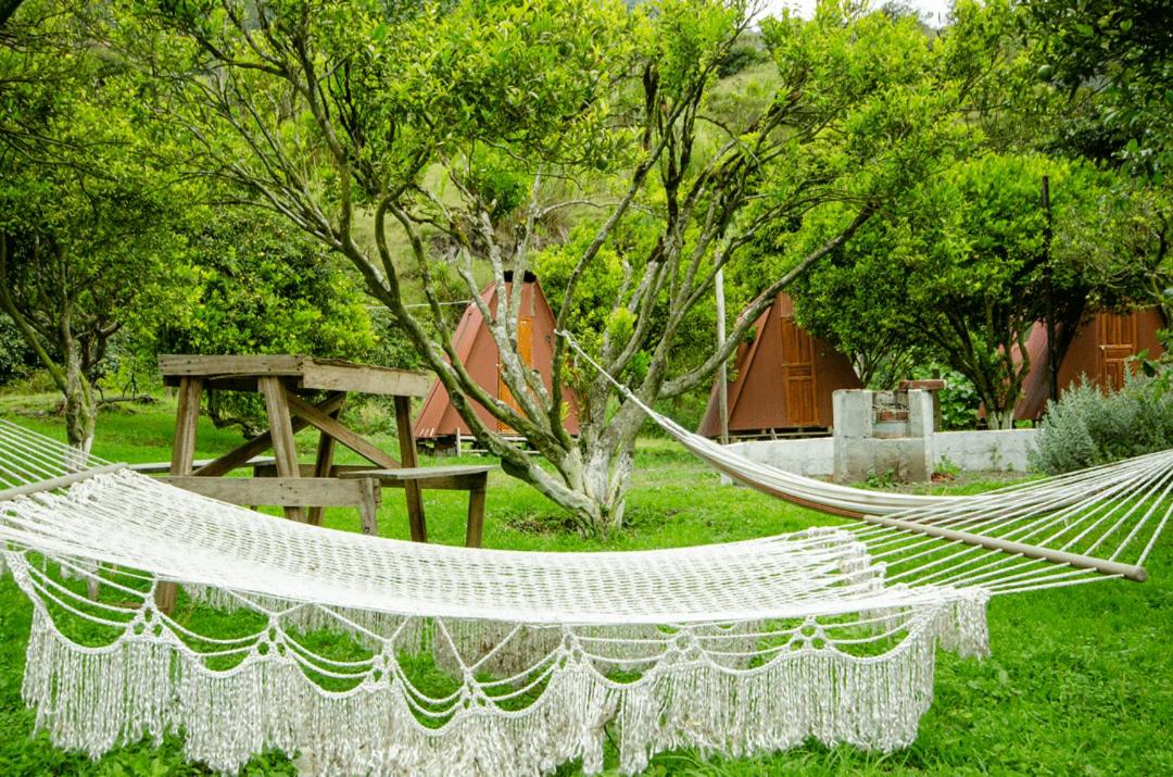Natural Garden Glamping
