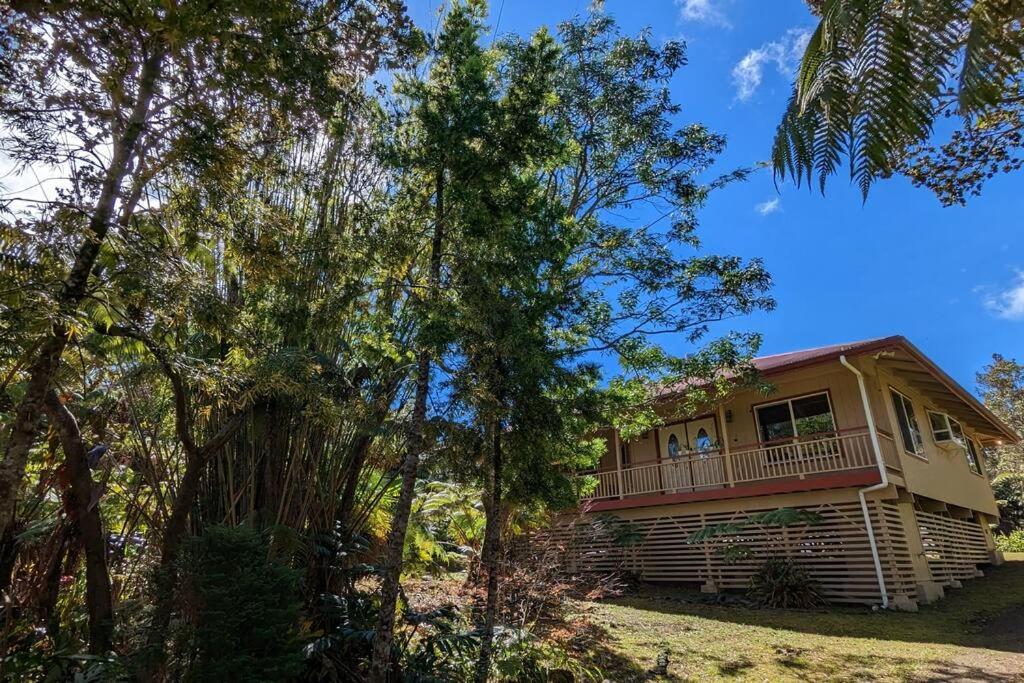 Local Living in Volcano Hawaii Breeze&5 mins to Volcano National Park view 4