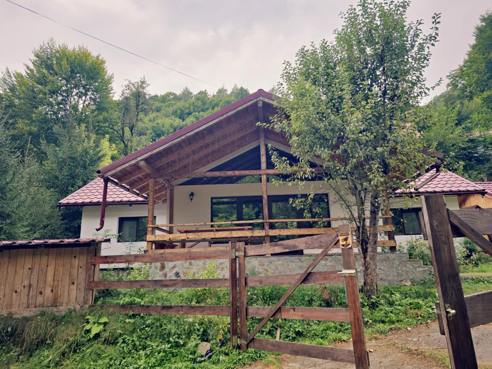 Photo 41
