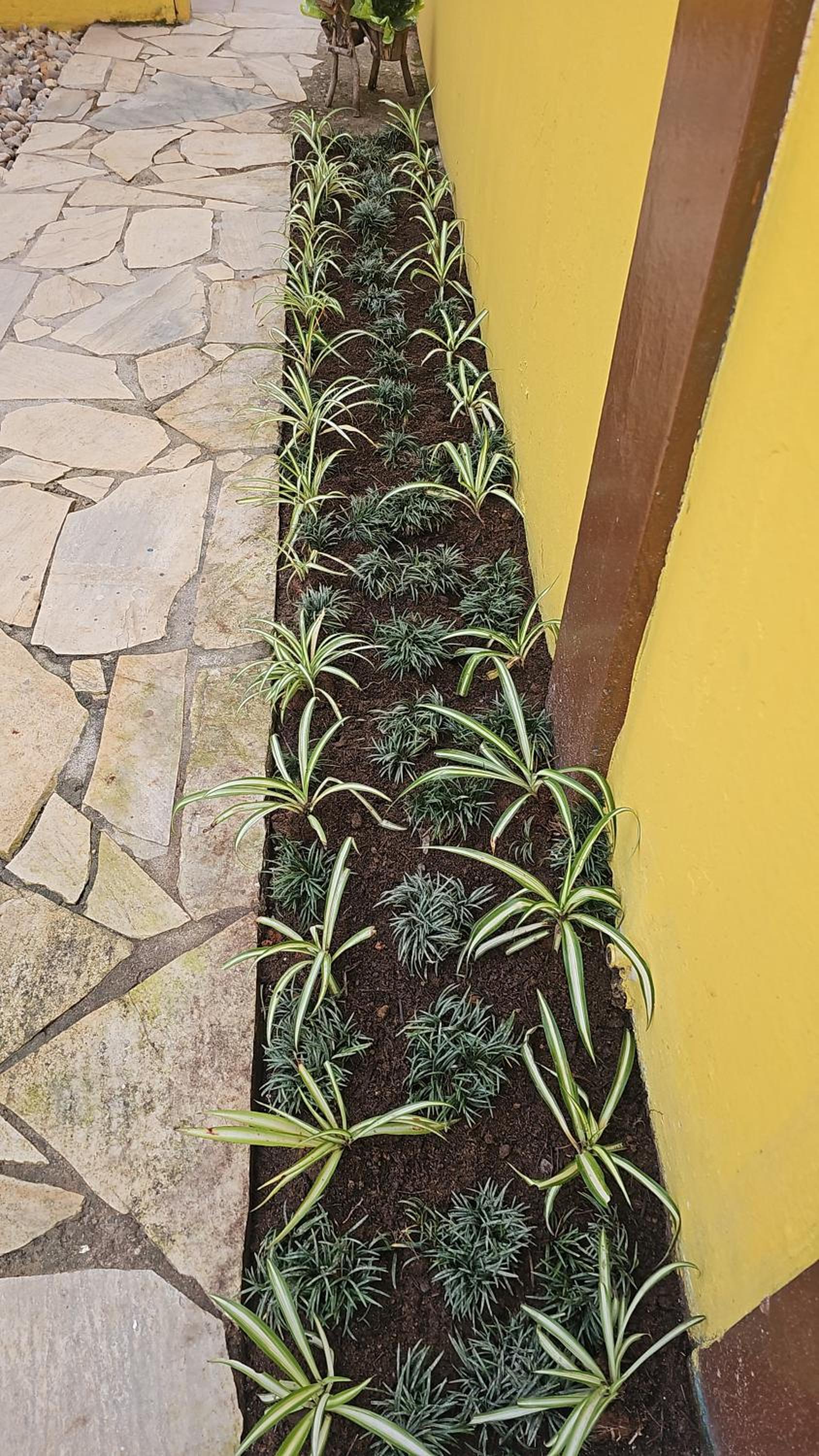 Pousada Bella Juquehy