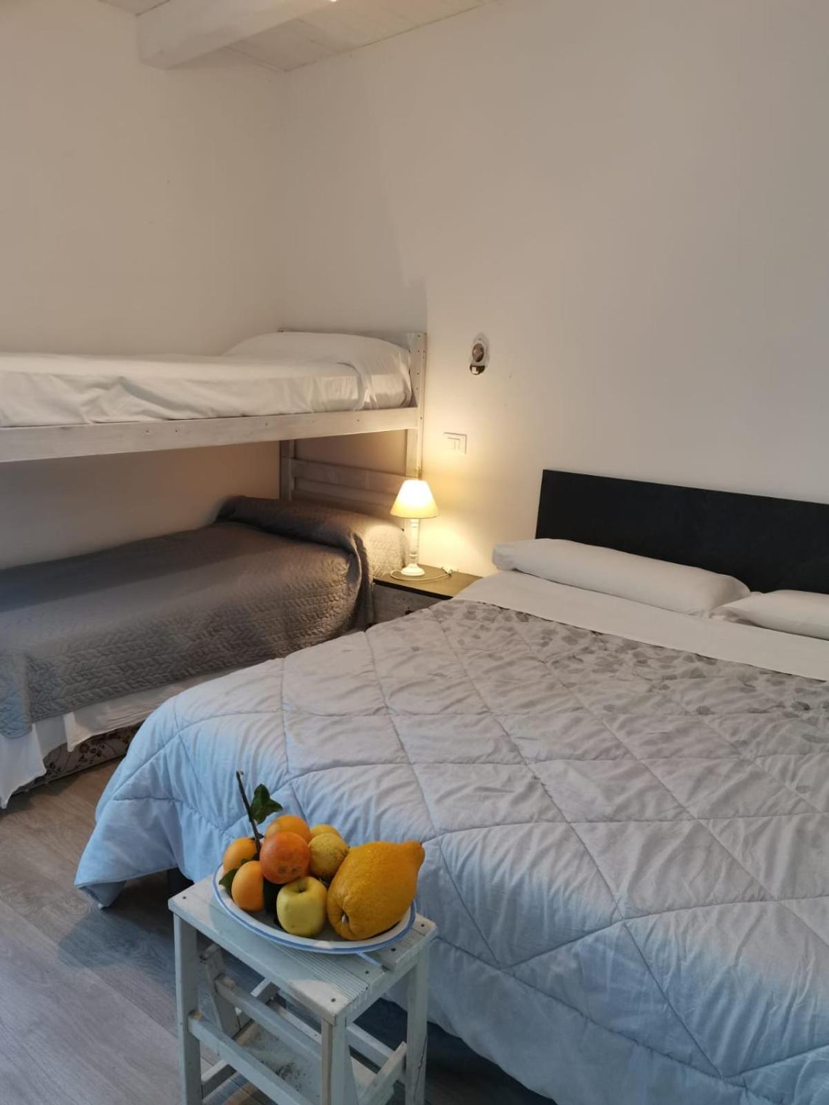 B&B Xenia