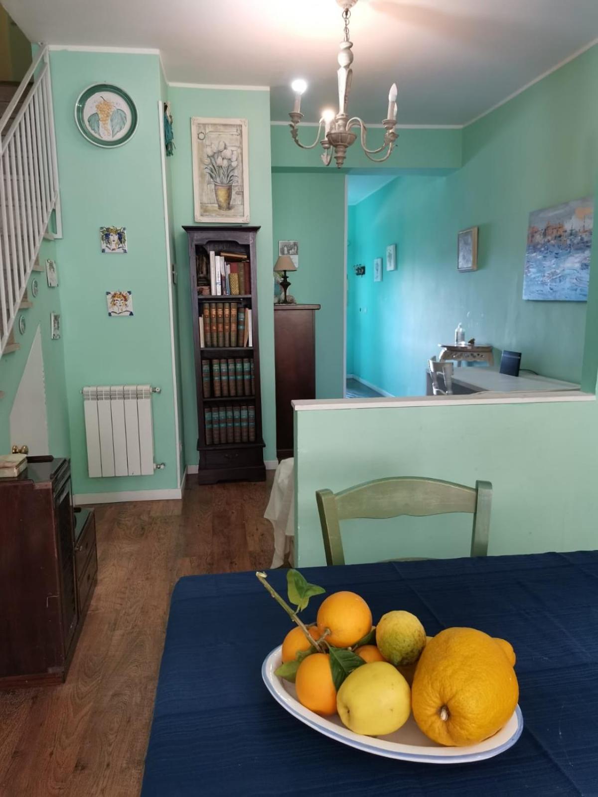 B&B Xenia