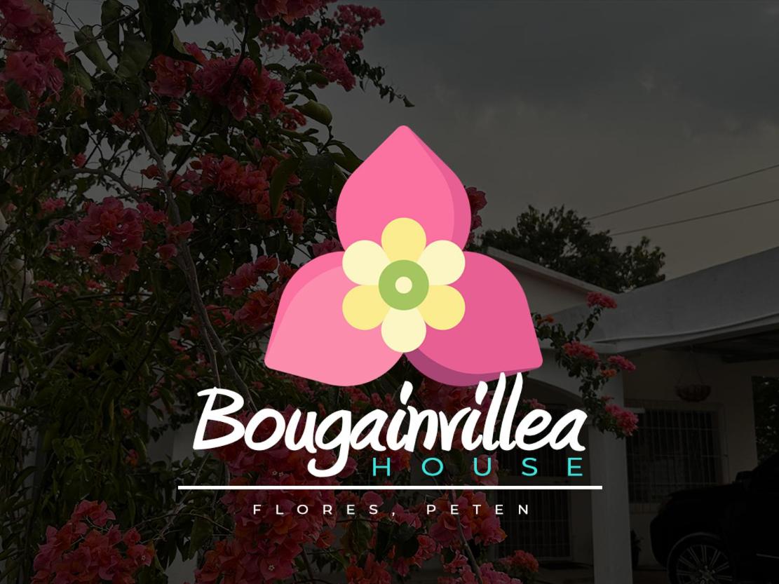 bougainvillea house