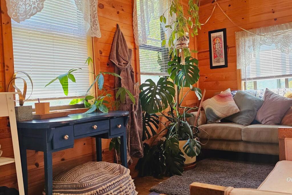 Retreat to Stella Maris Soul Spa by the Russian River view 3