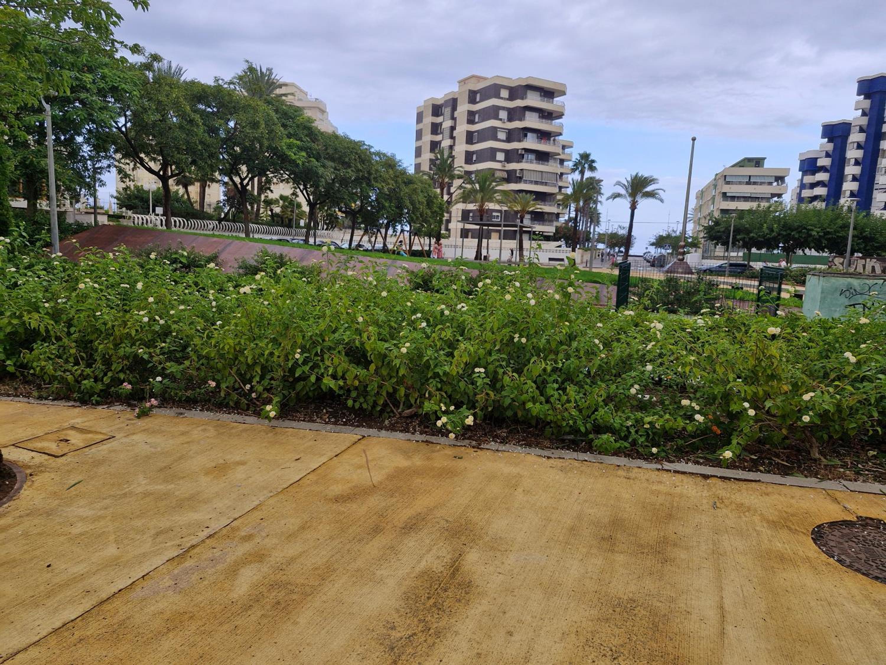 Apartamento acogedor en playa Gandía