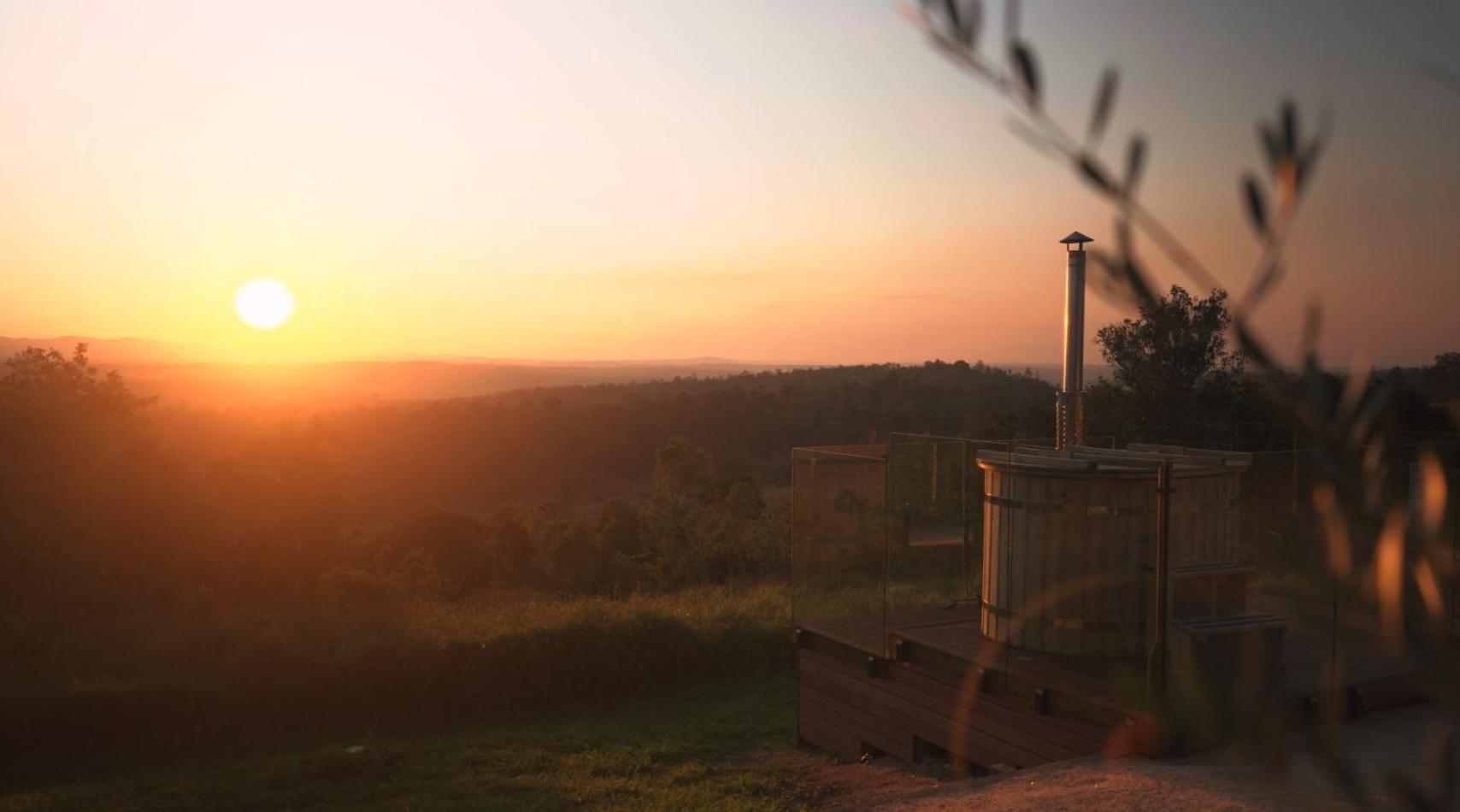 The Firebreak