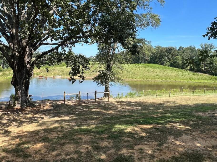 McAlpine Farms