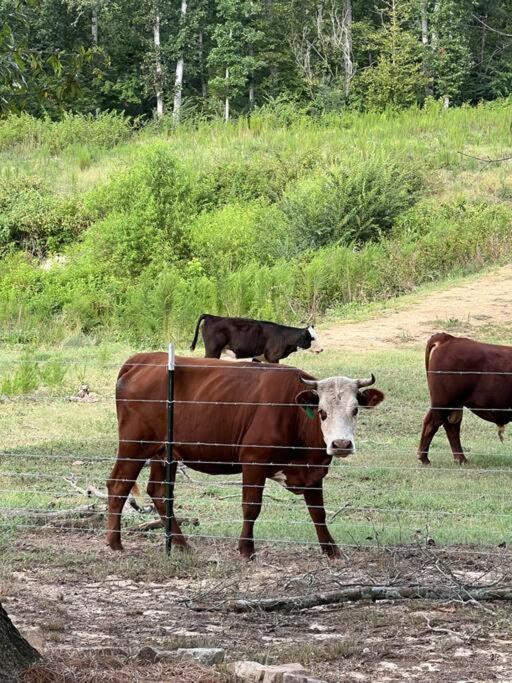 McAlpine Farms