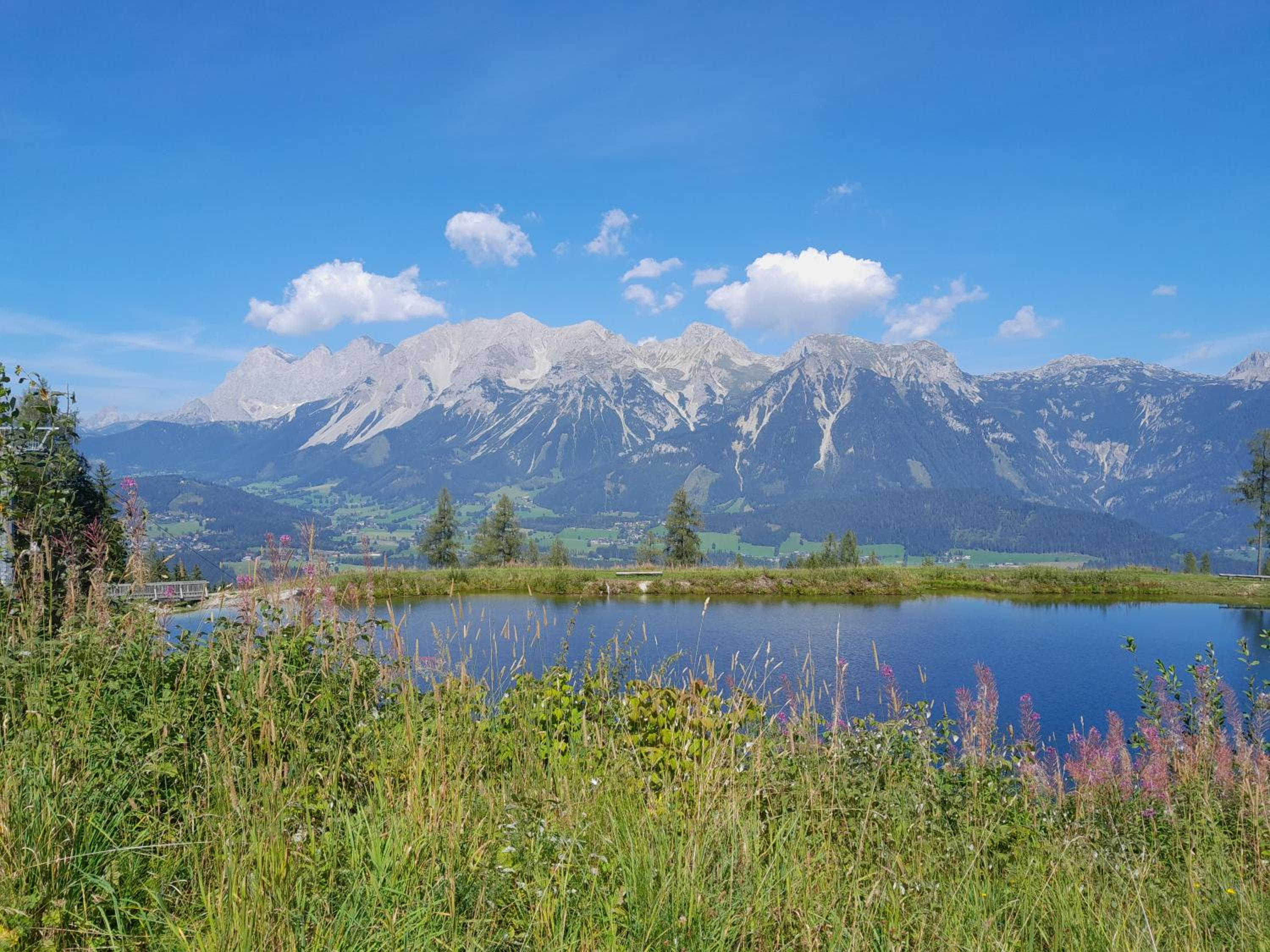 Alpenblick