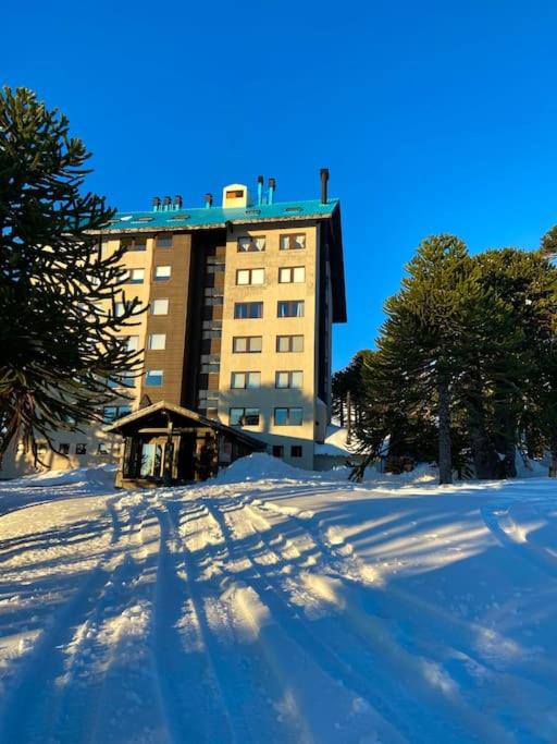 Refugio Las Araucarias Ski Center