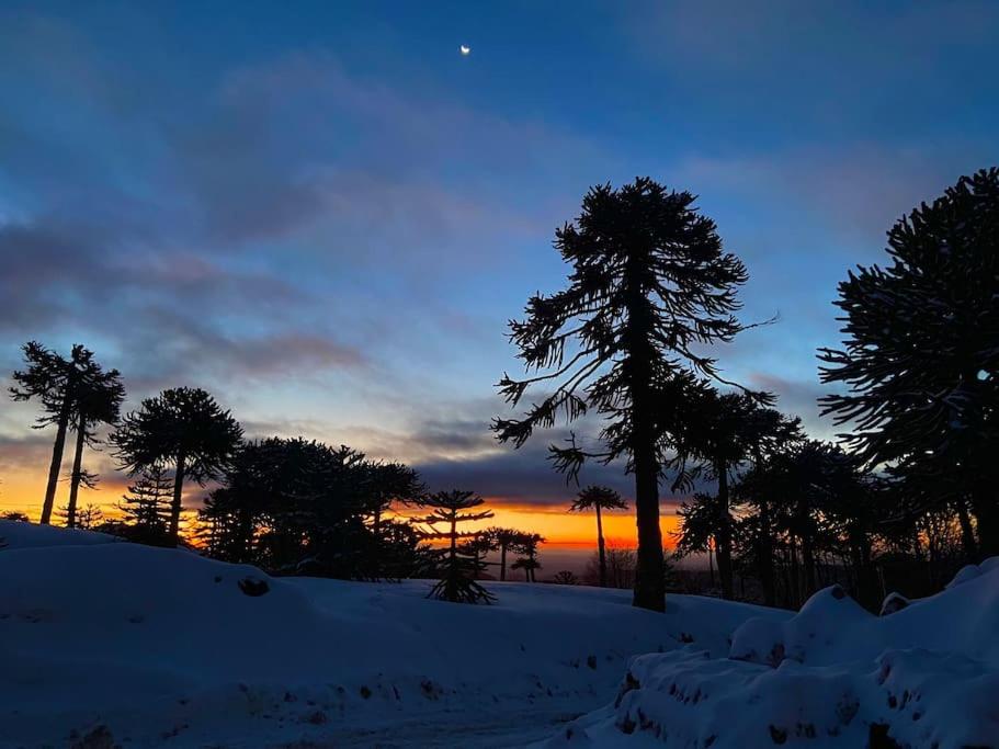 Refugio Las Araucarias Ski Center
