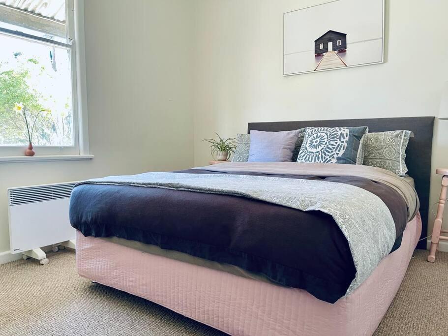 Pet Friendly Cottage on Large Sunny Block & 5 mins-CBD