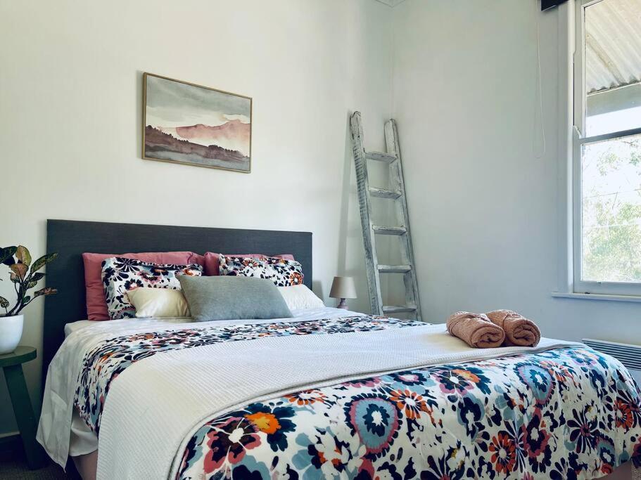 Pet Friendly Cottage on Large Sunny Block & 5 mins-CBD