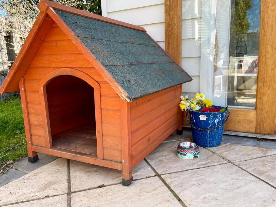 Pet Friendly Cottage on Large Sunny Block & 5 mins-CBD
