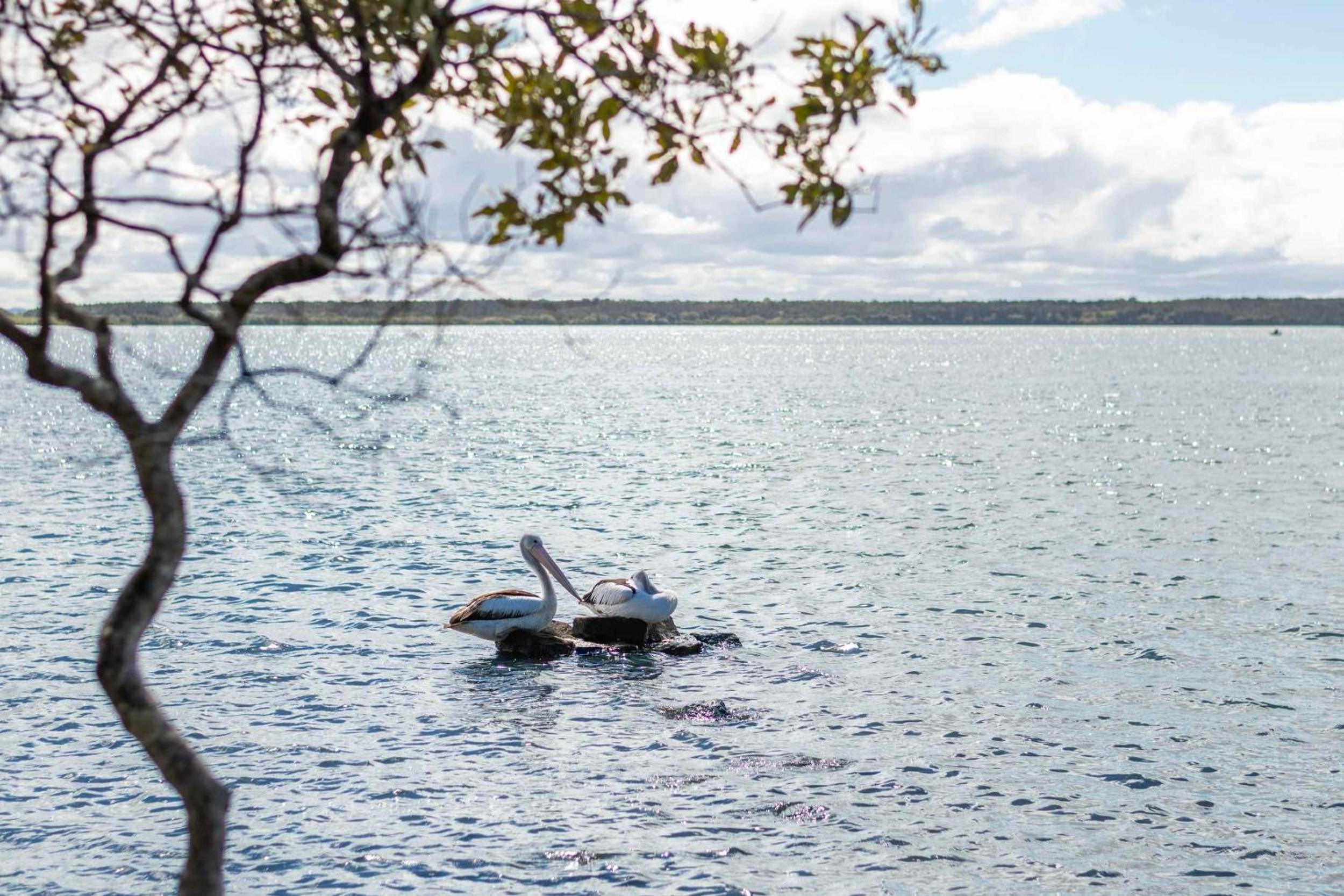 Casa Del Lago - Oceanstays - Lakehouse