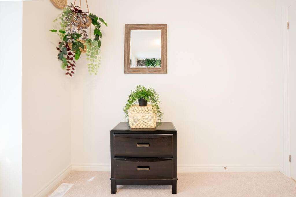 Brand New Cozy, Modern, & Instaworthy House!