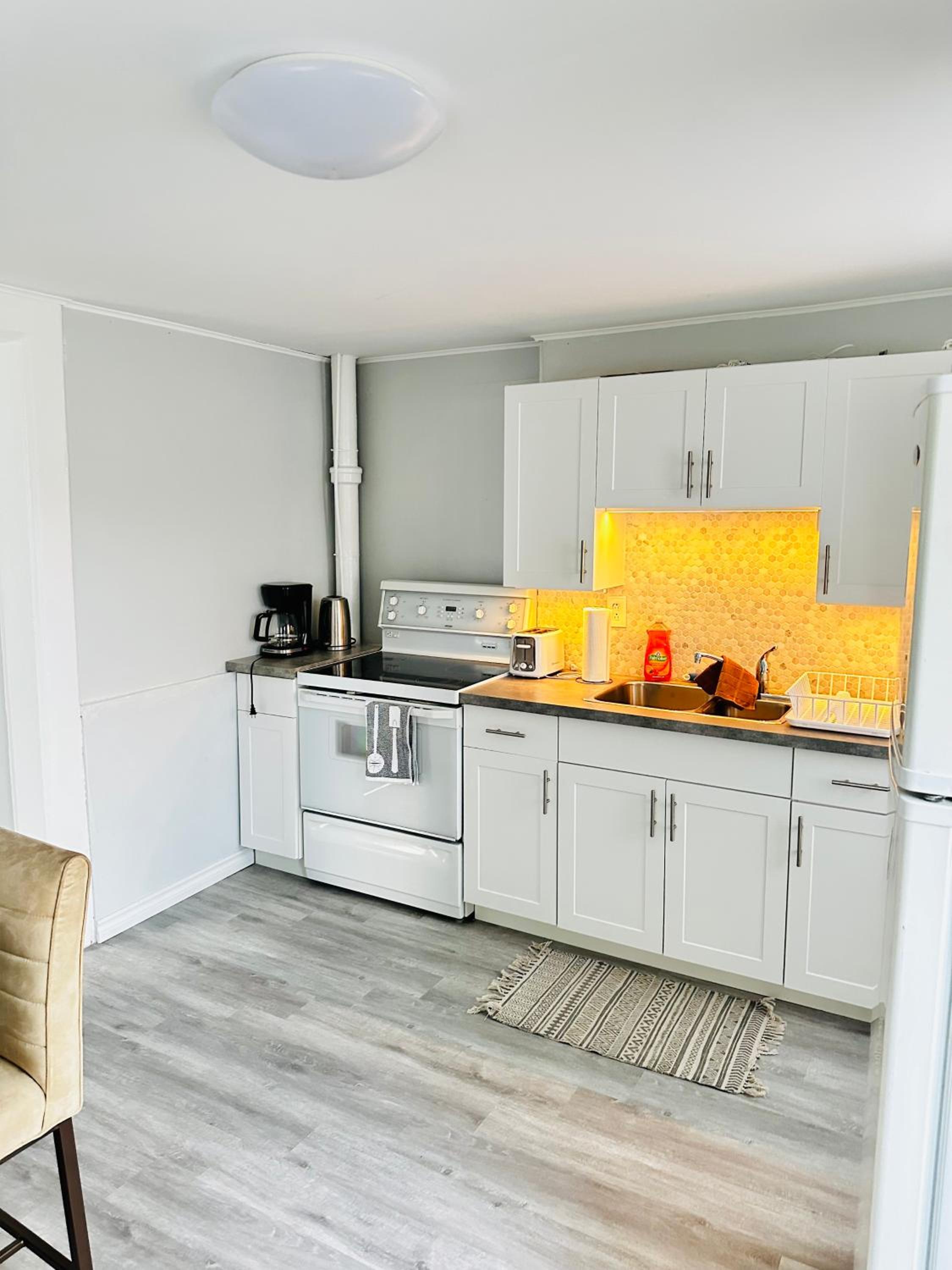 Cozy 2BR House Near Centre with Patio, BBQ, Backyard, and Netflix
