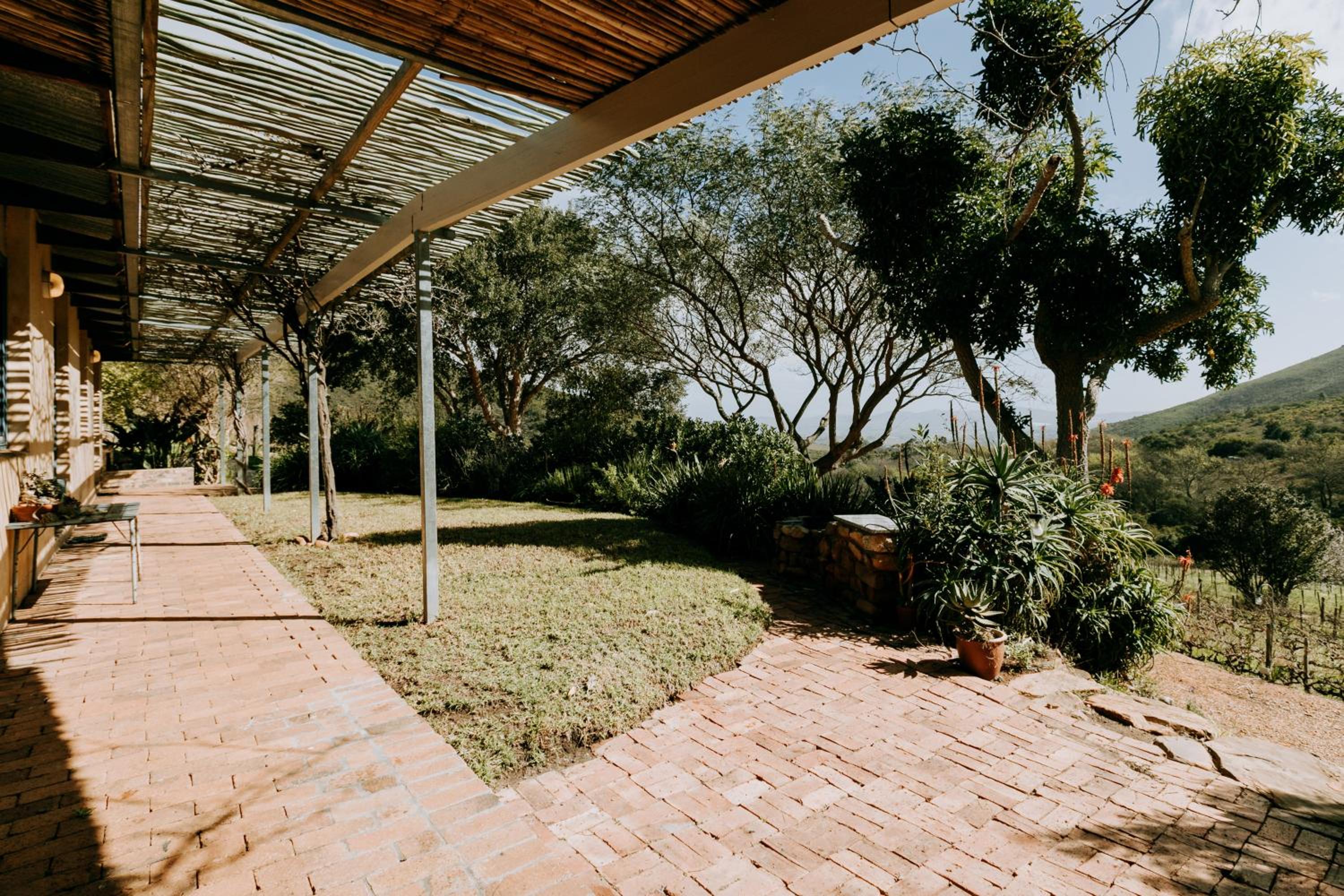 little villa in the vineyard view 3