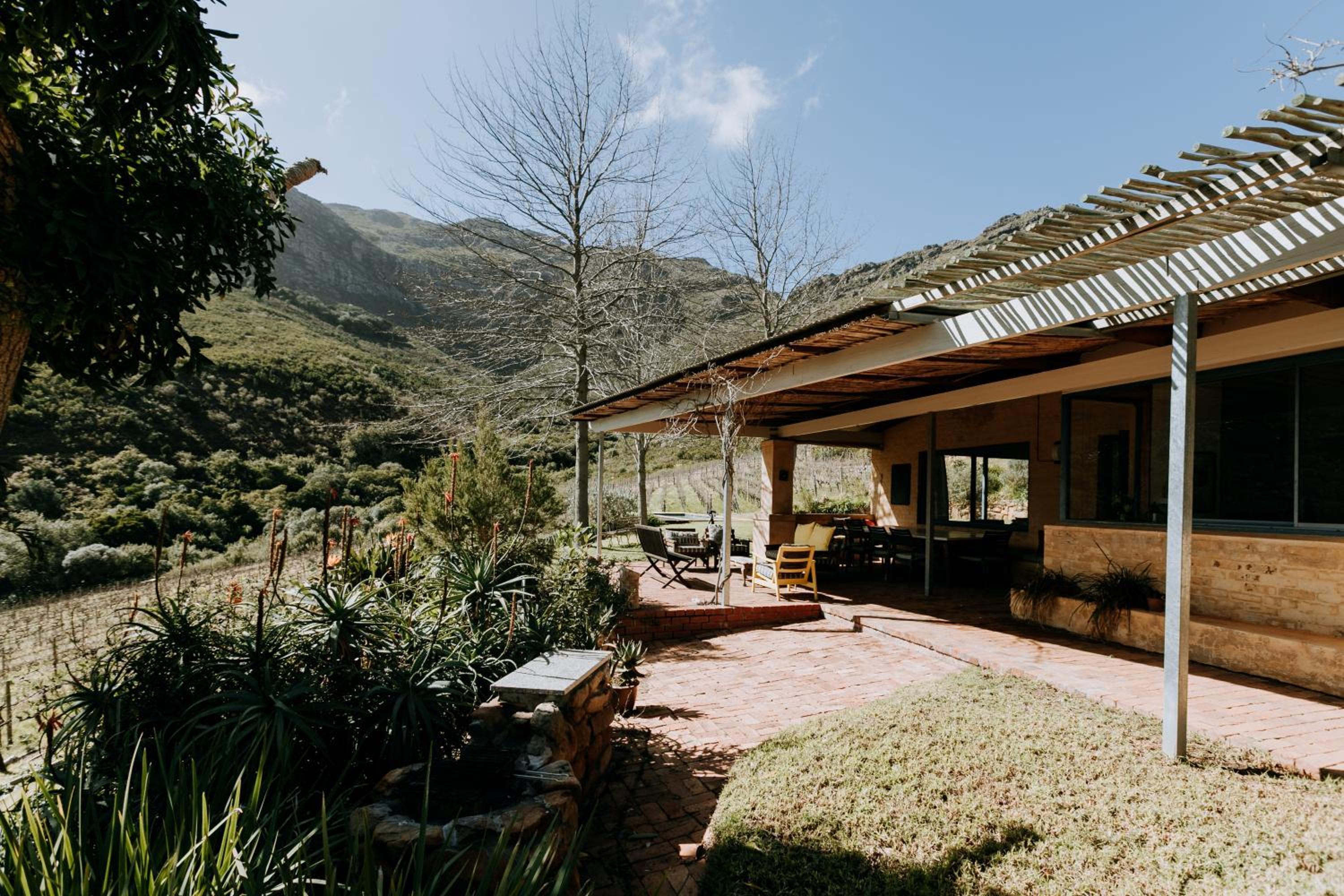 little villa in the vineyard view 2