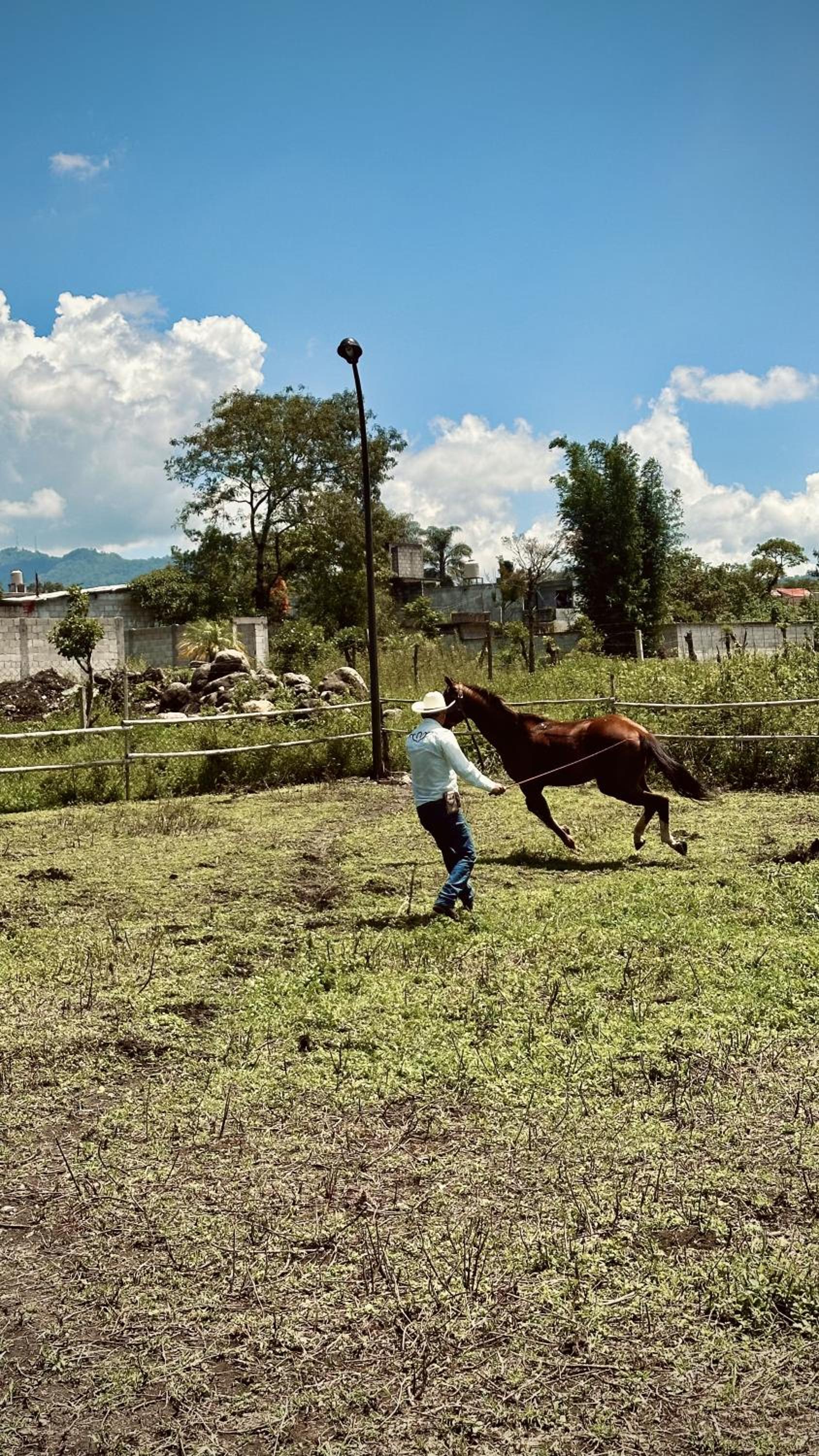 Cabaña con arroyo a orillas de Orizaba