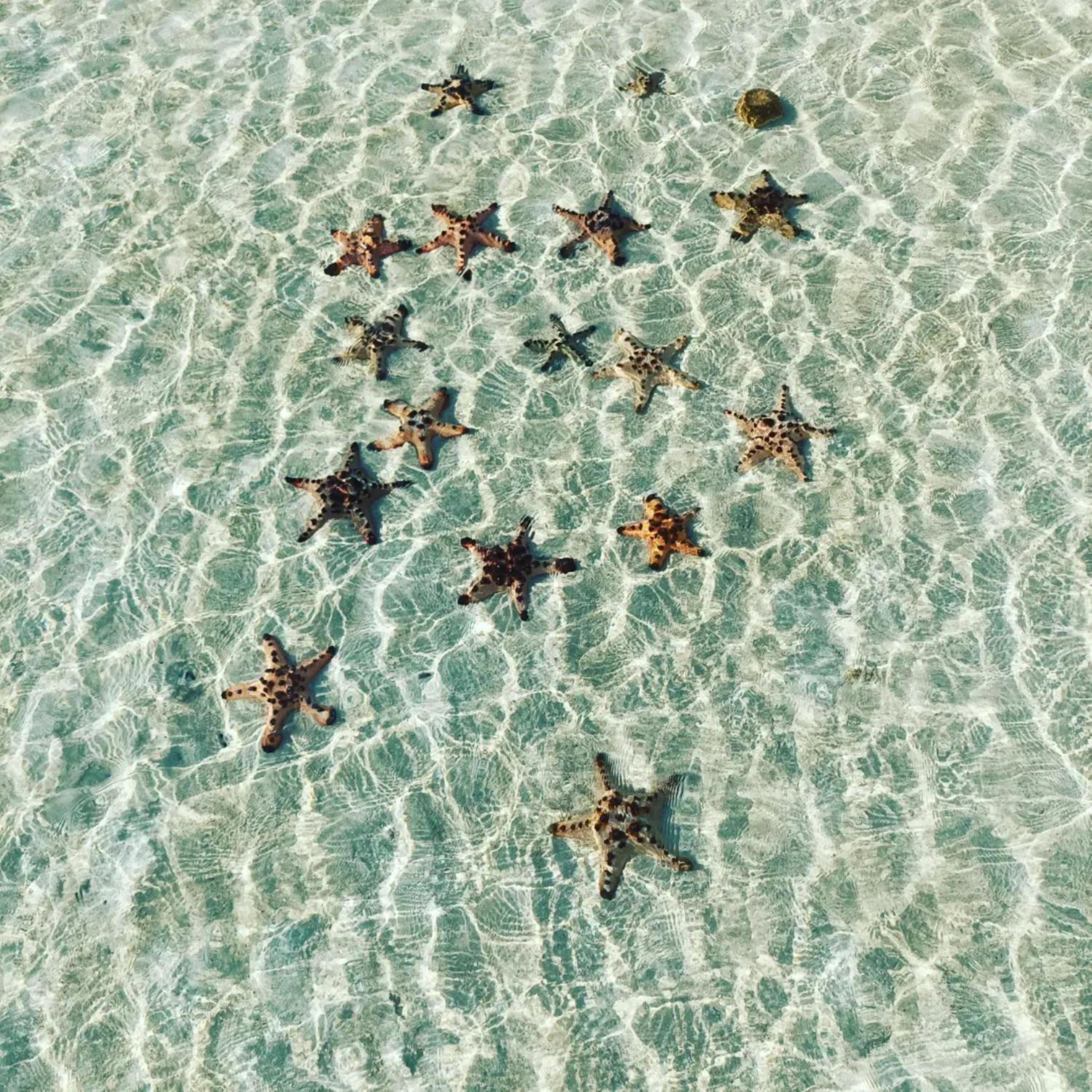 Princesa Garden Island Resort and Spa
