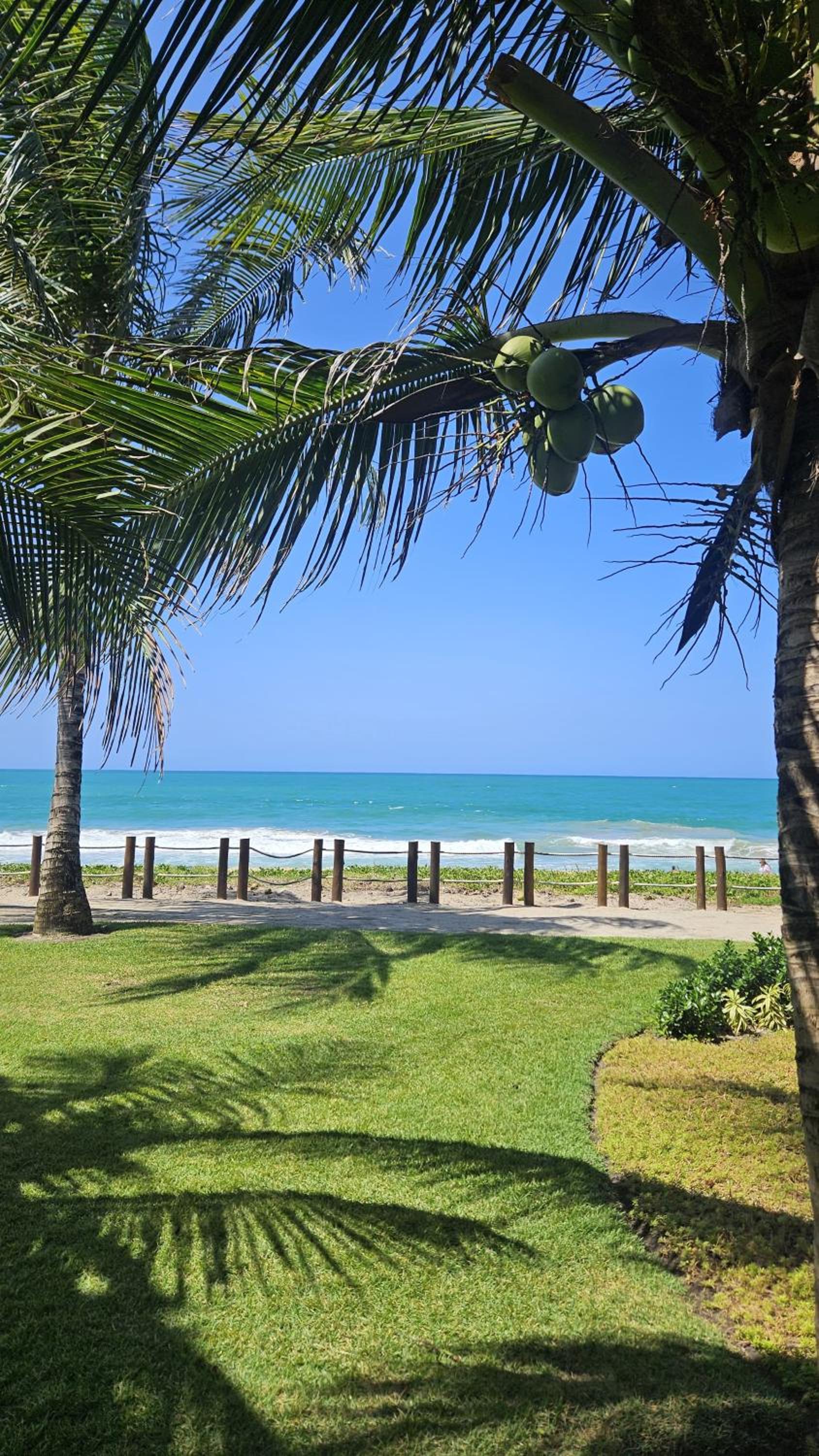 Bangalô Eco Life Beach Class Pé na Areia Muro Alto