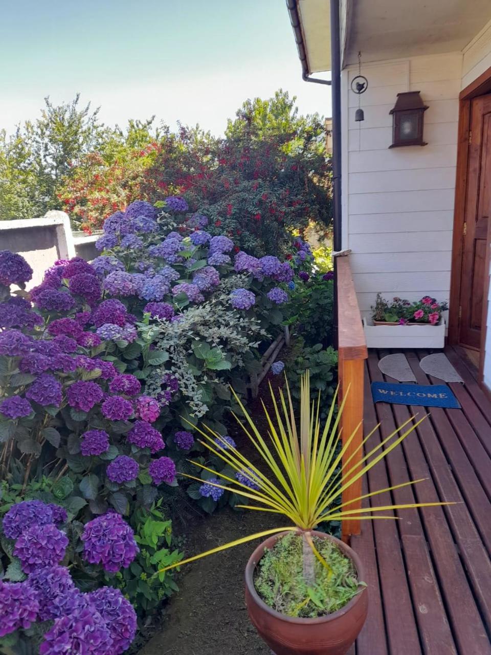 Casa Lago Ranco