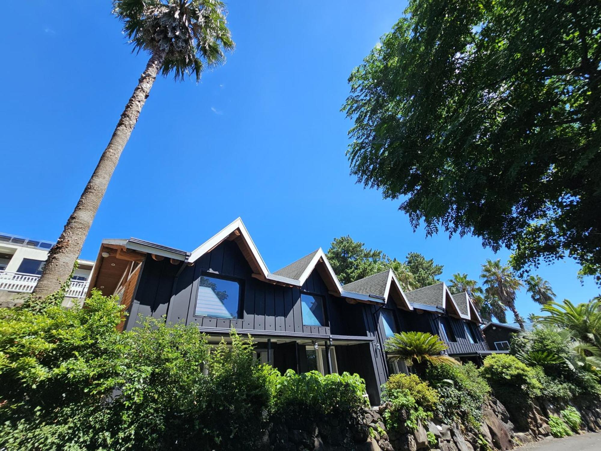 Tree Story Pension view 3