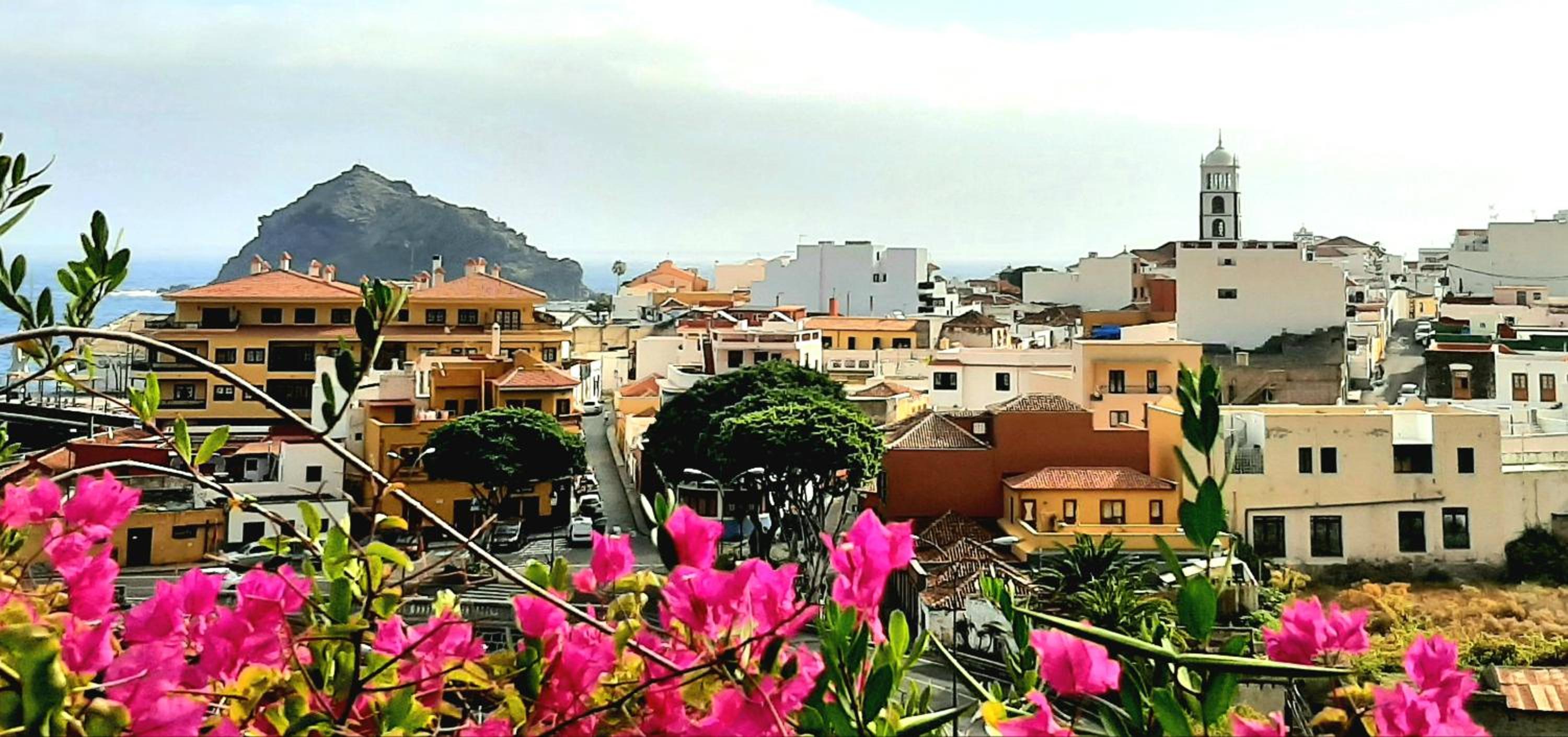 Villa ARTE