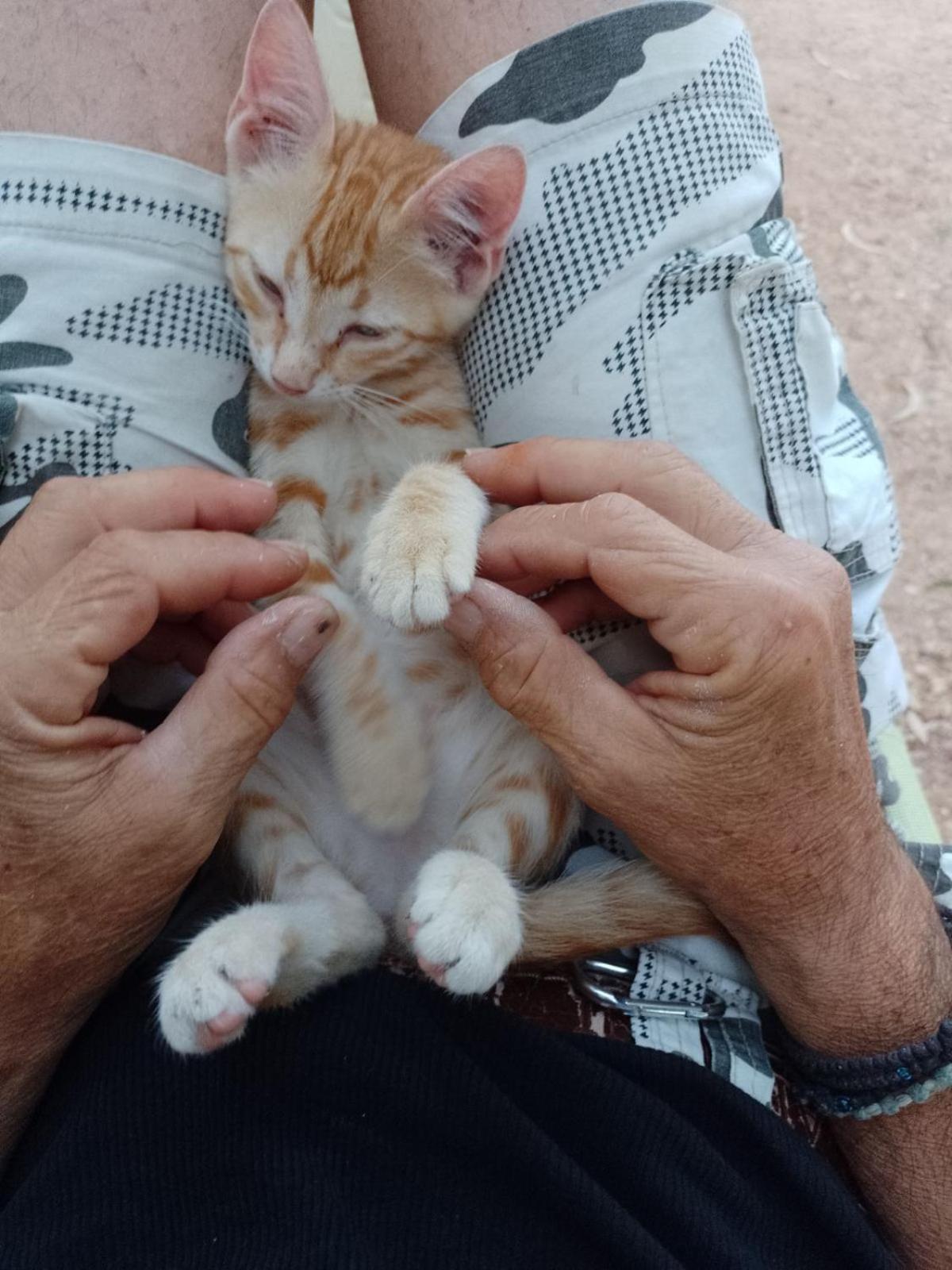 human