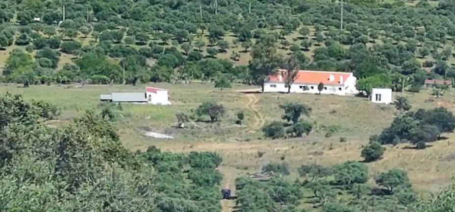 House near Elvas on Olive Farm