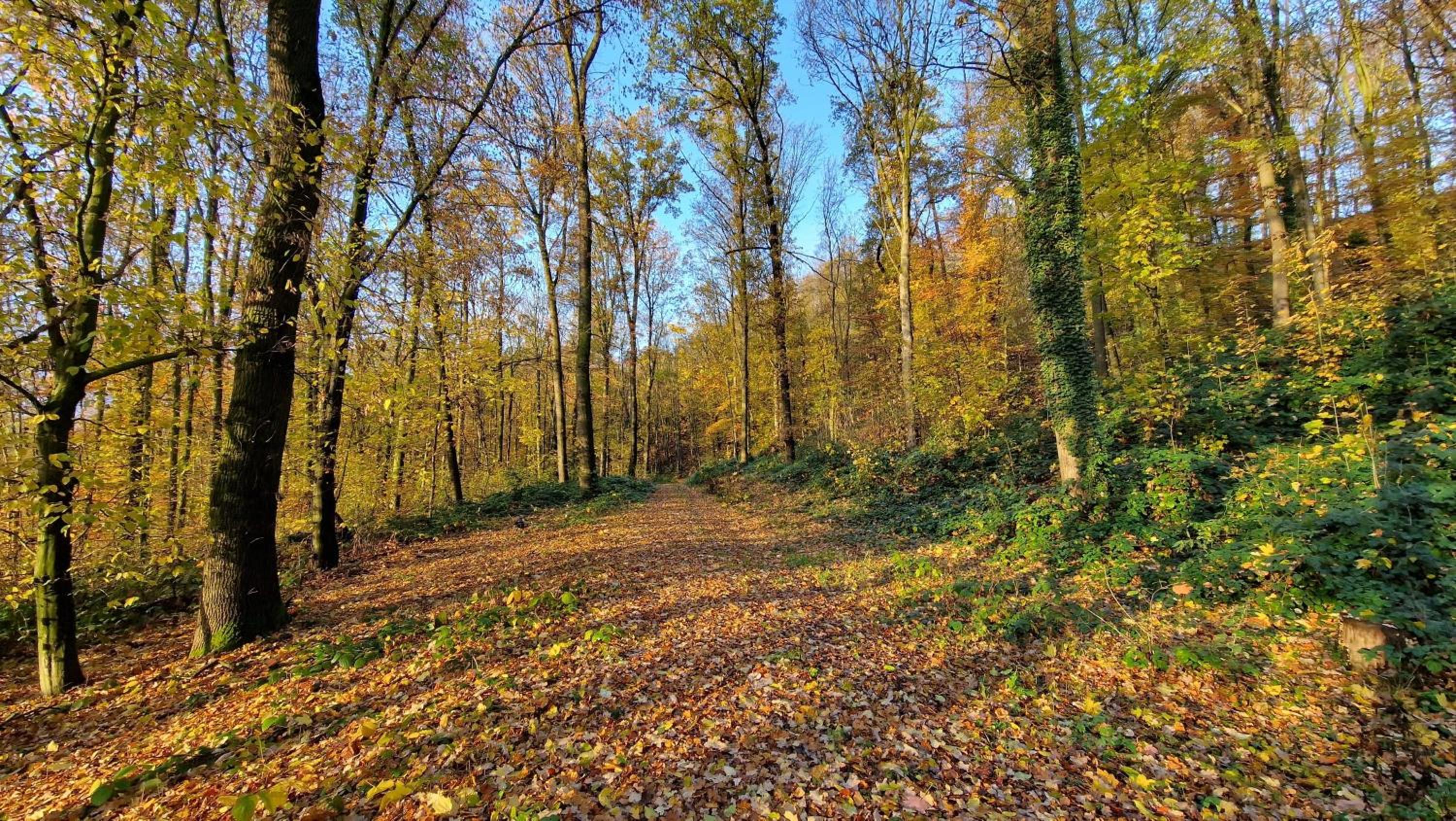 Ferienwohnung Geilert