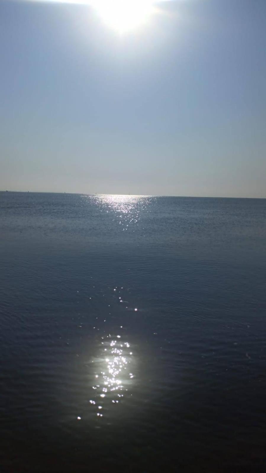 Mare Pineta 2