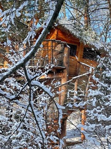 Treehouse Stvořidla view 3
