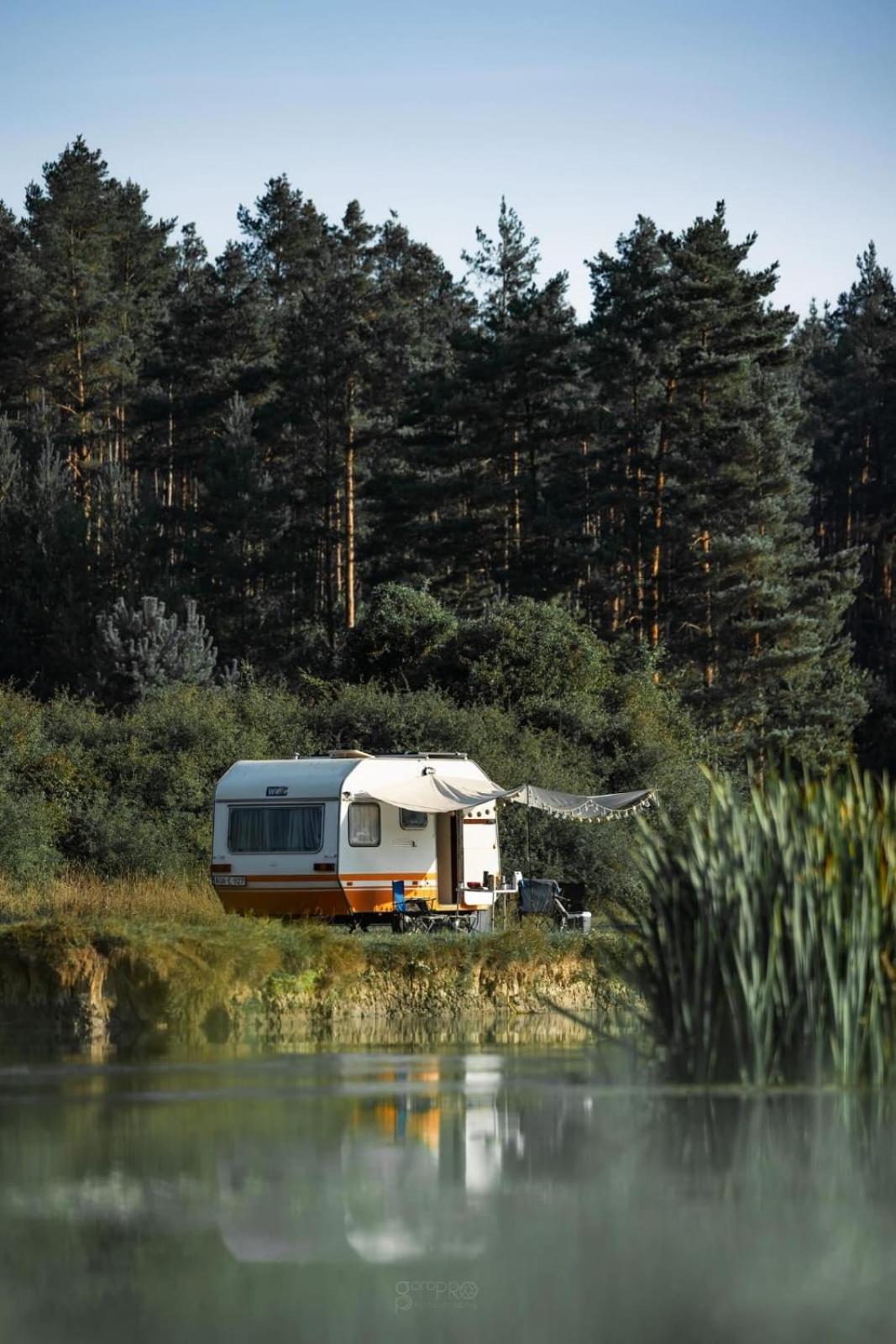 Camp of Nature