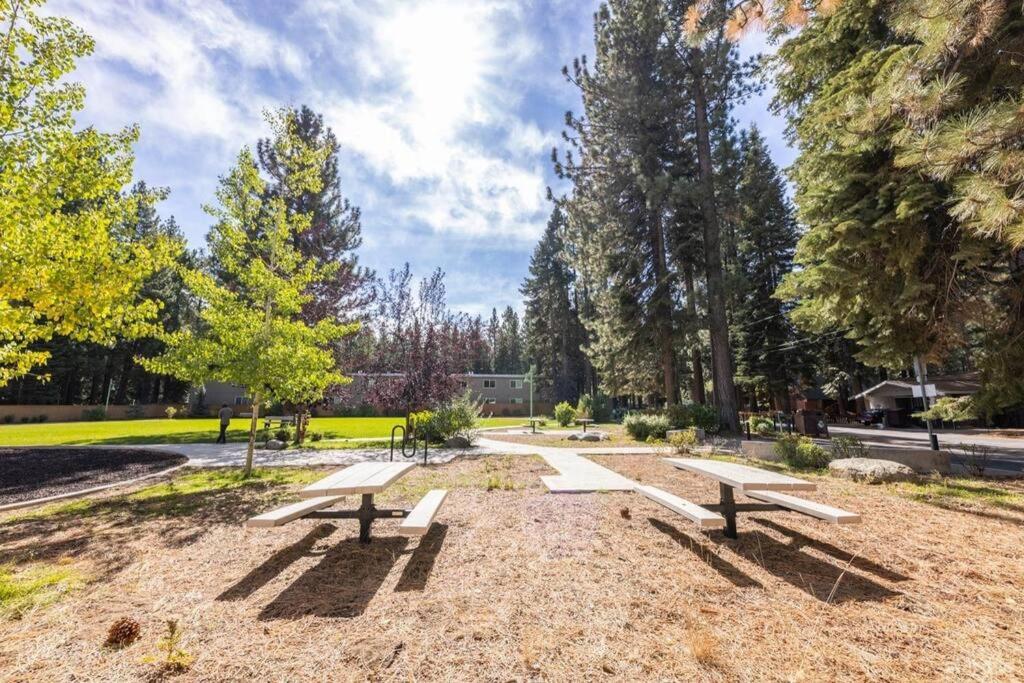 Cozy Condo in South Lake Tahoe view 4