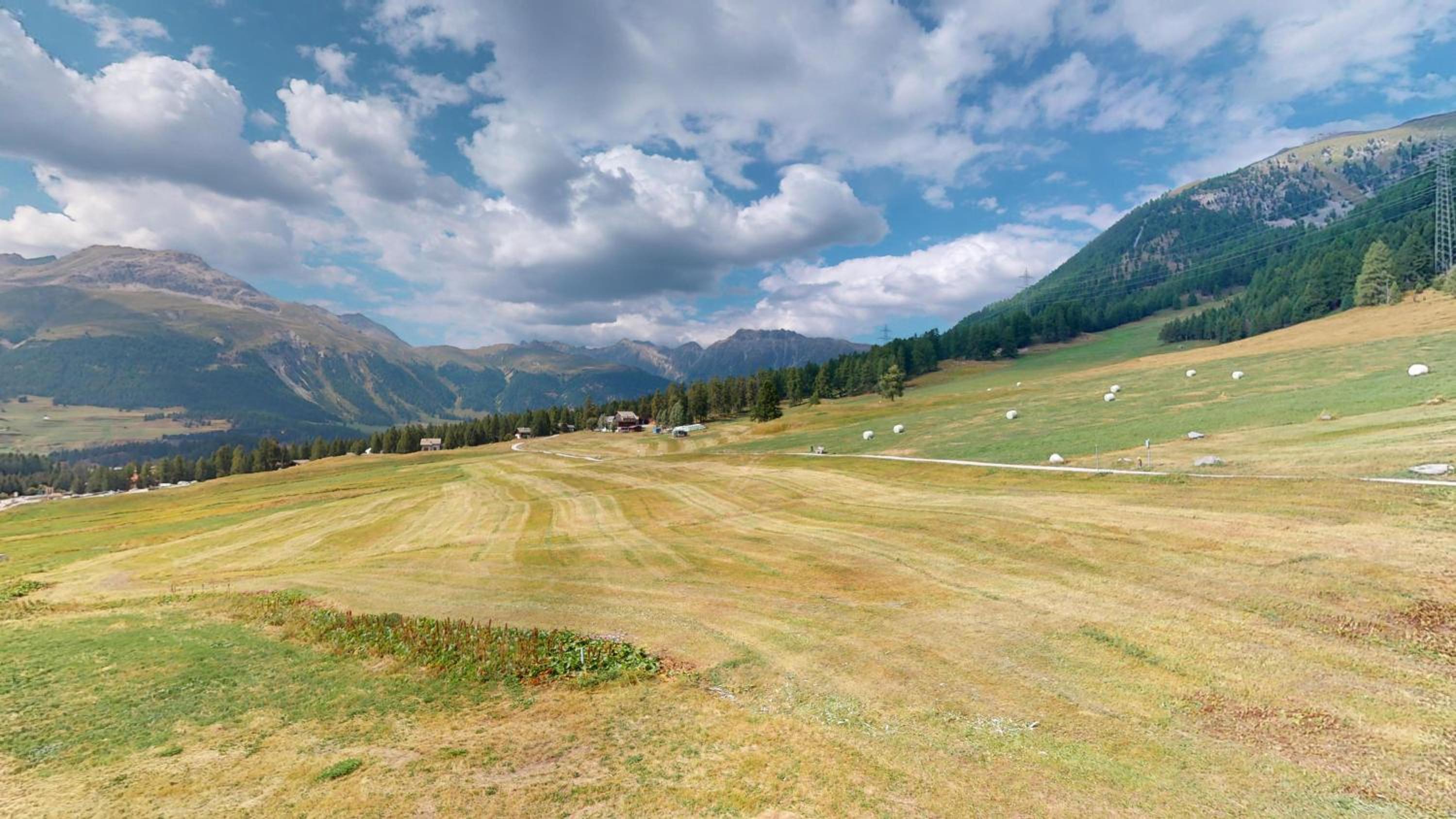 Abitaziun Staz - Pontresina